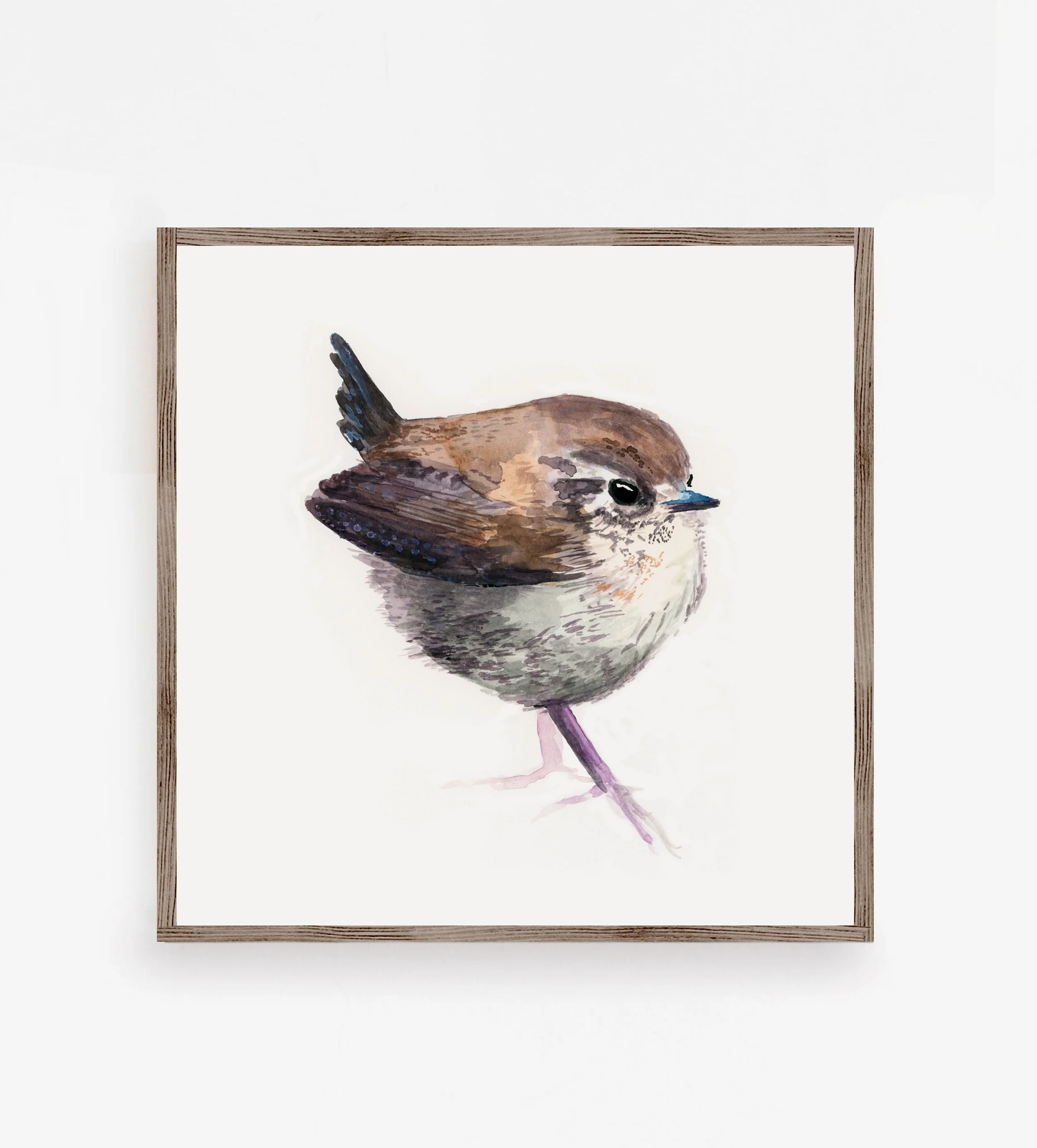Wren-Wooden-Frame.jpg