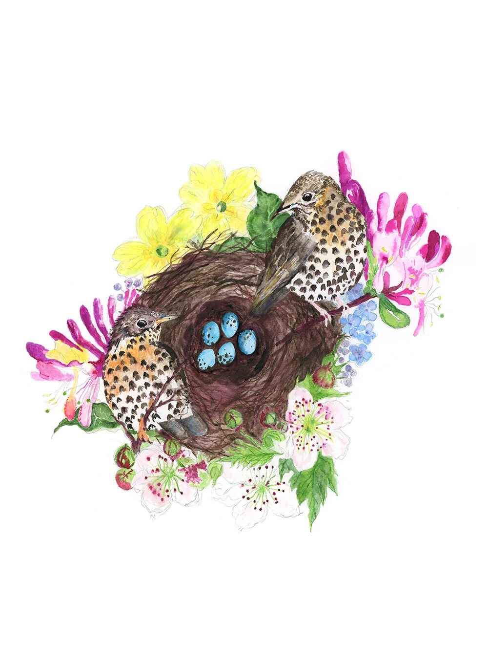 Louise-Naughton-We-Built-A-Home-illustration.jpg