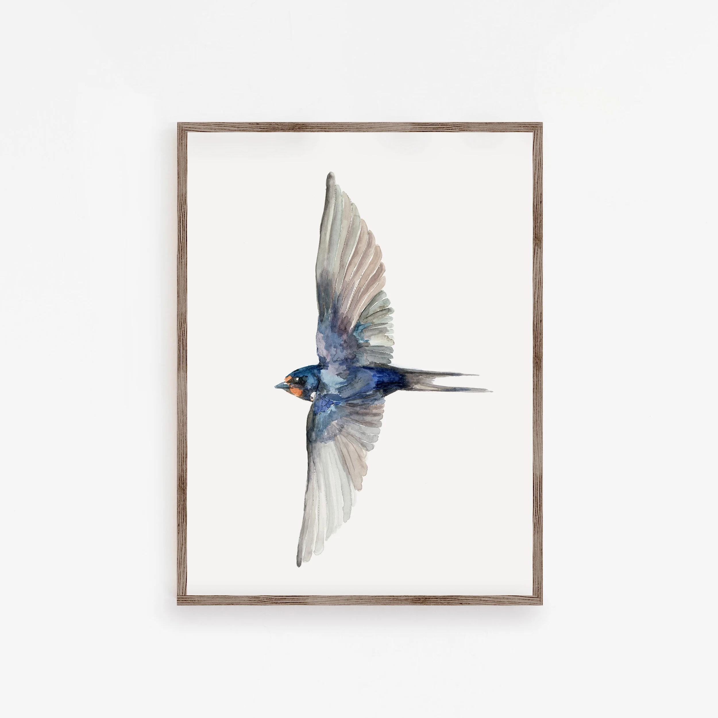 Louise-Naughton-Swallow copy.jpg