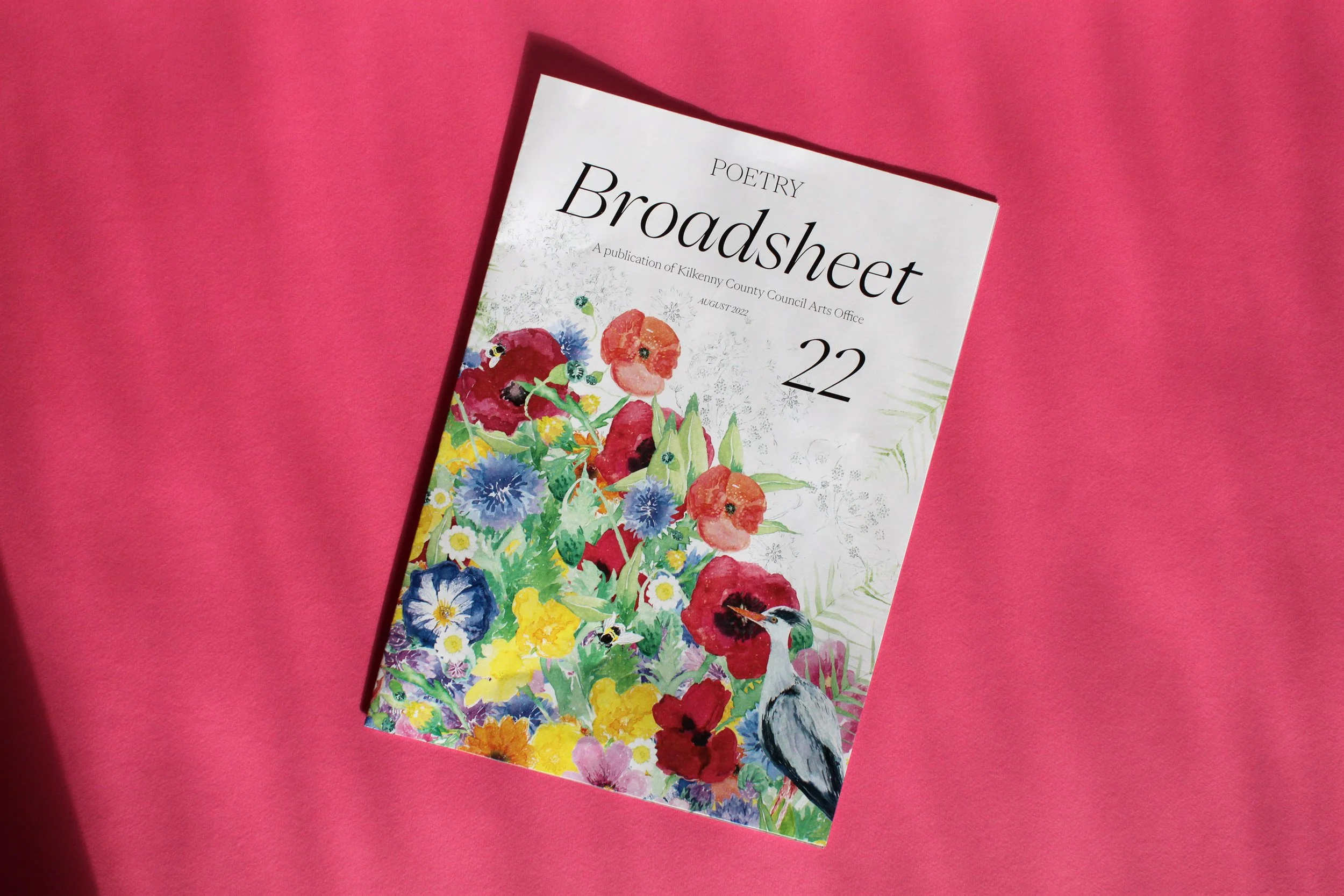 Louise-Naughton-Kilkenny-Broadsheet-Illustration.jpg