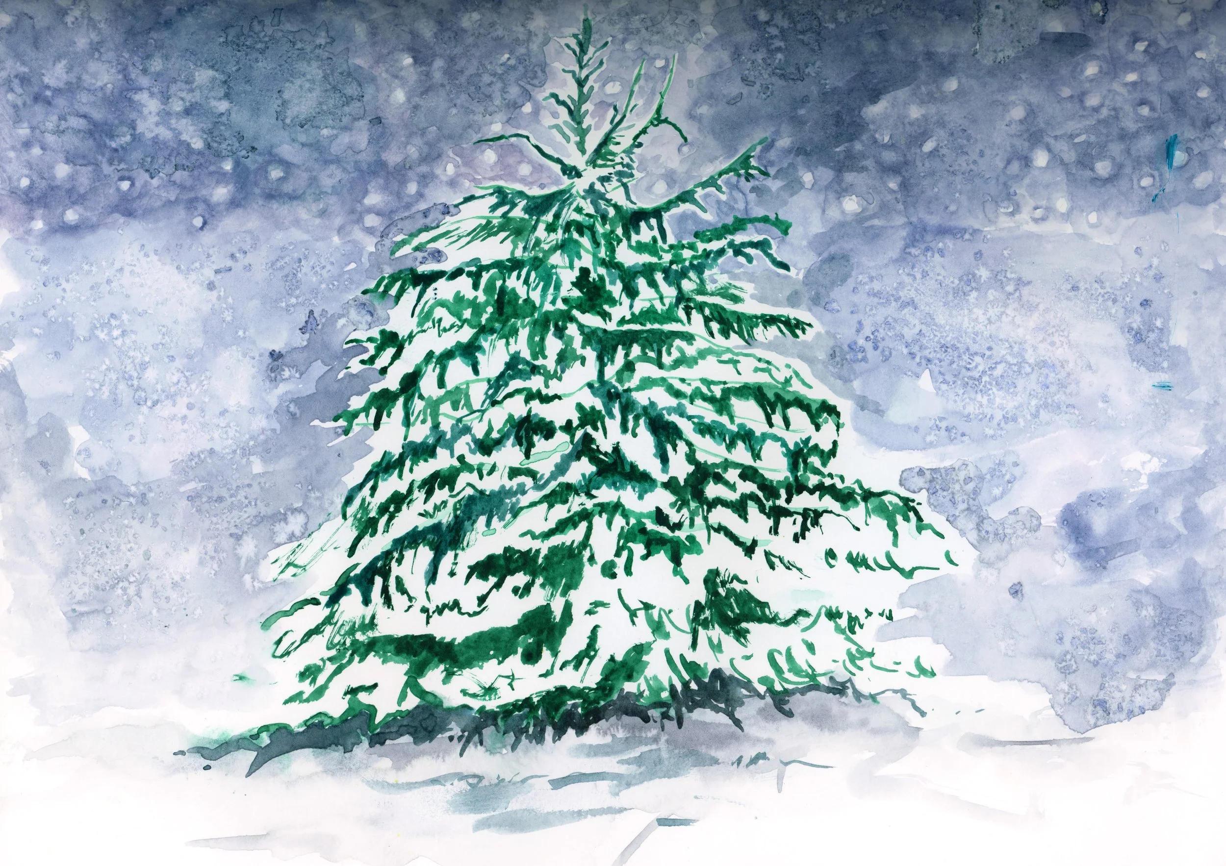 Louise-Naughton-Illustration-Nature-Forest-Tree.jpg