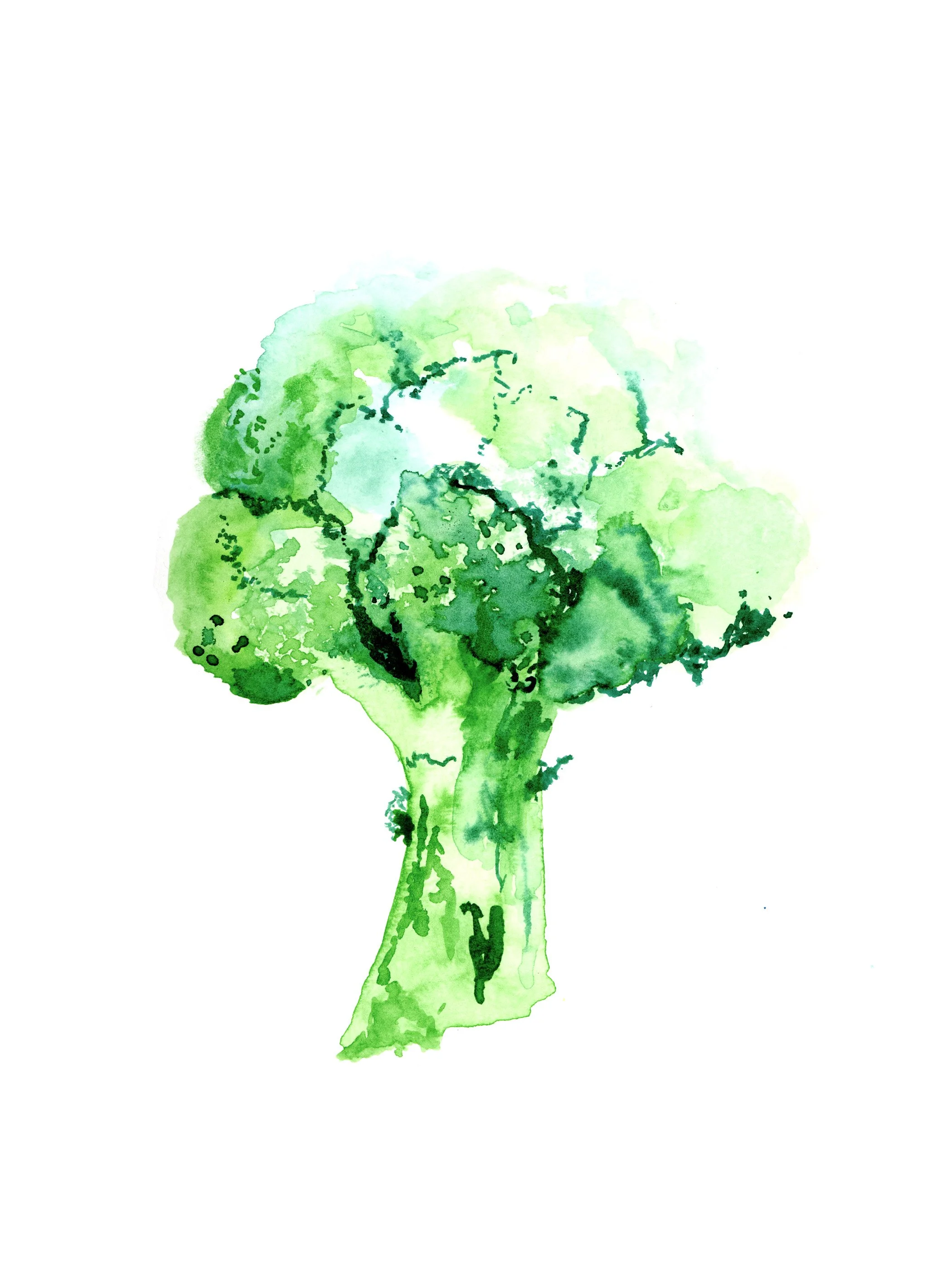 Louise-Naughton-Food-Broccoli-illustrtation.jpg