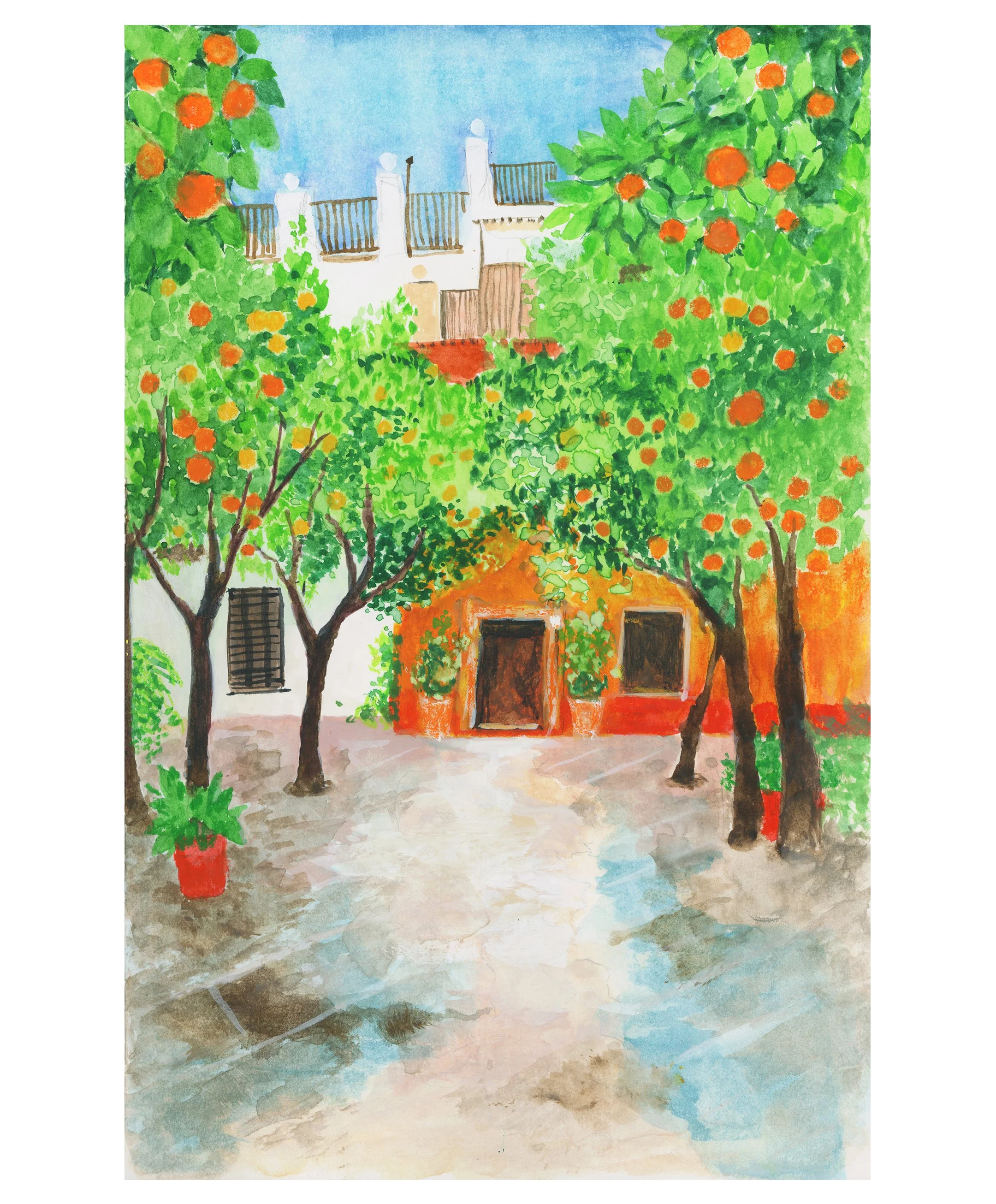 sevile-orange-tree-illustration-louise-naughton.jpg