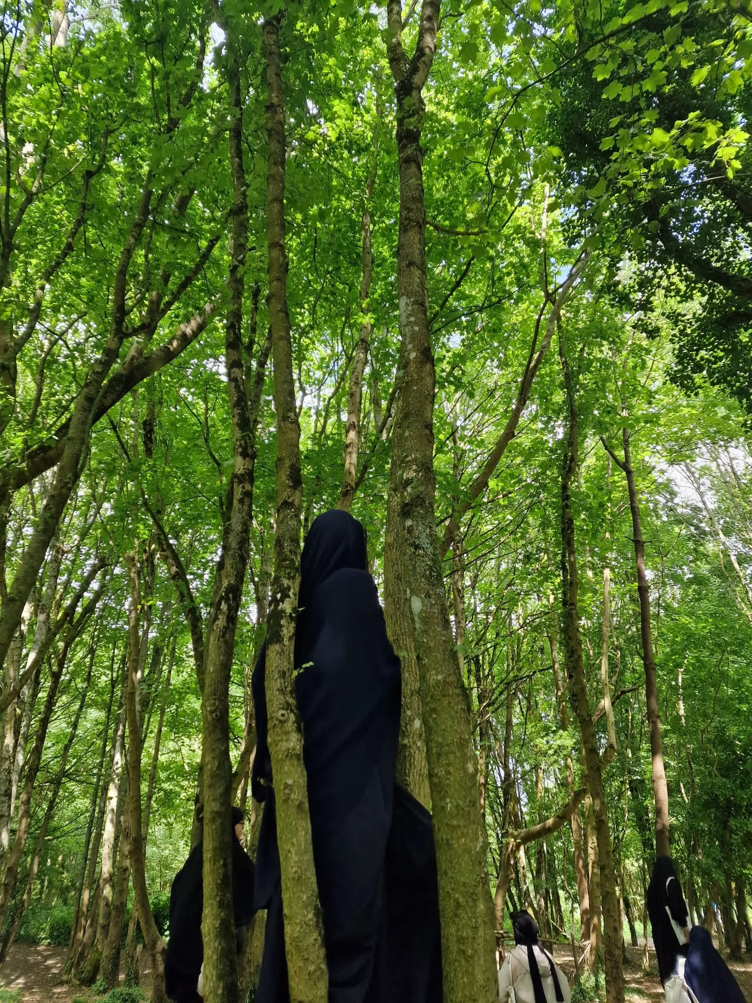 ummul-mumineen-academy-muslim-girls-primary-and-high-school-in-wales
