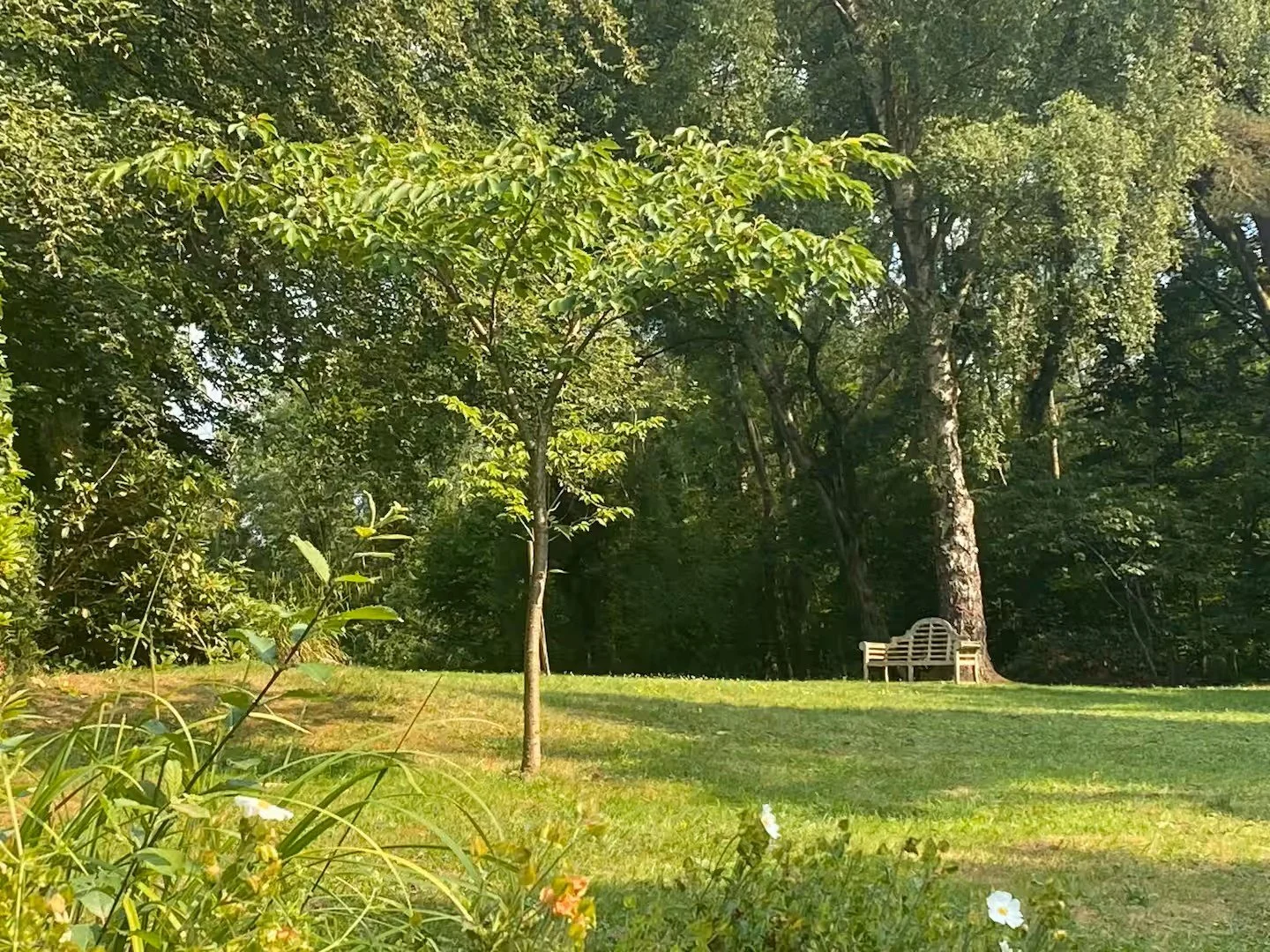Outdoor Space