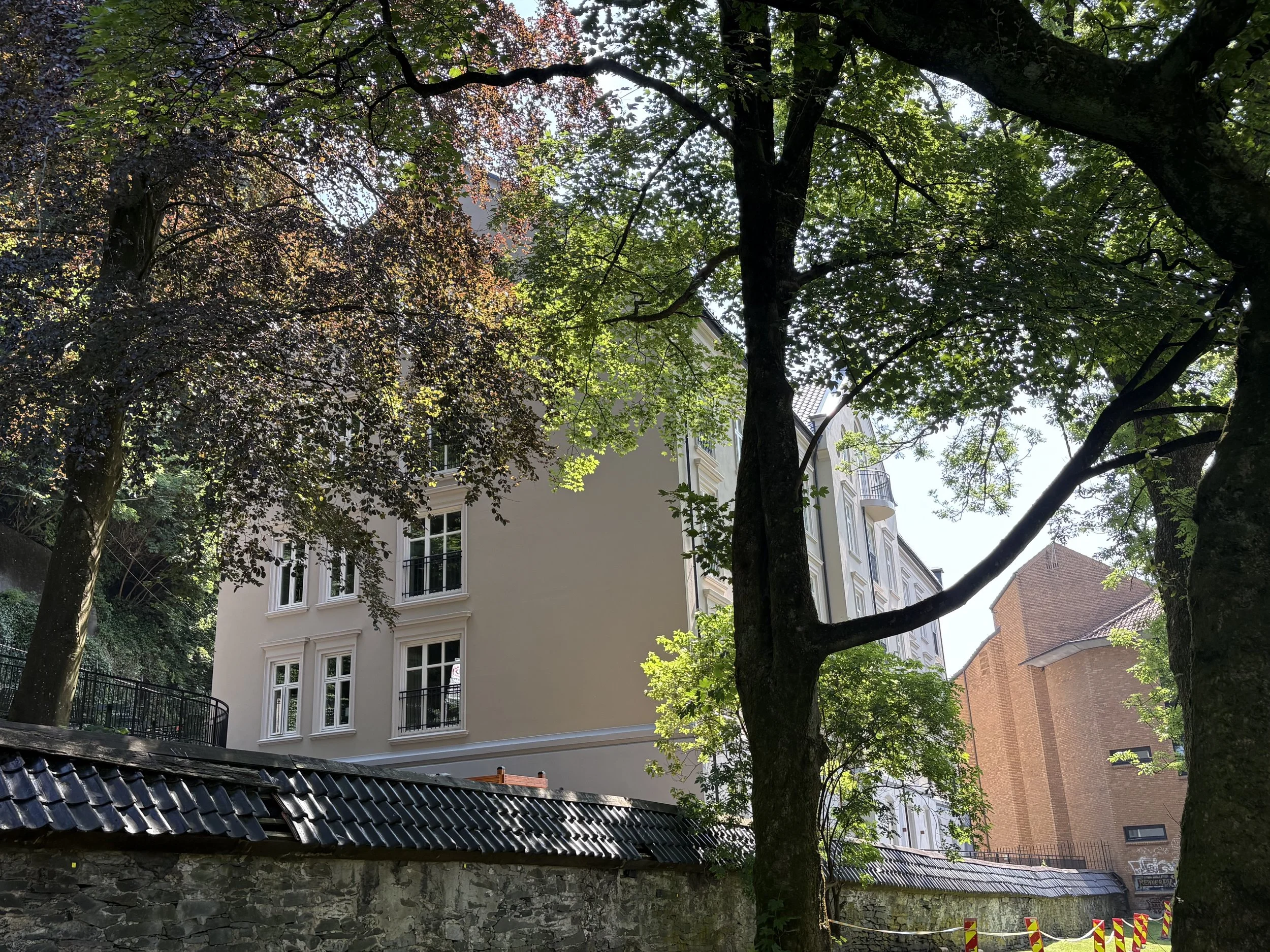 IMG_6468.jpeg