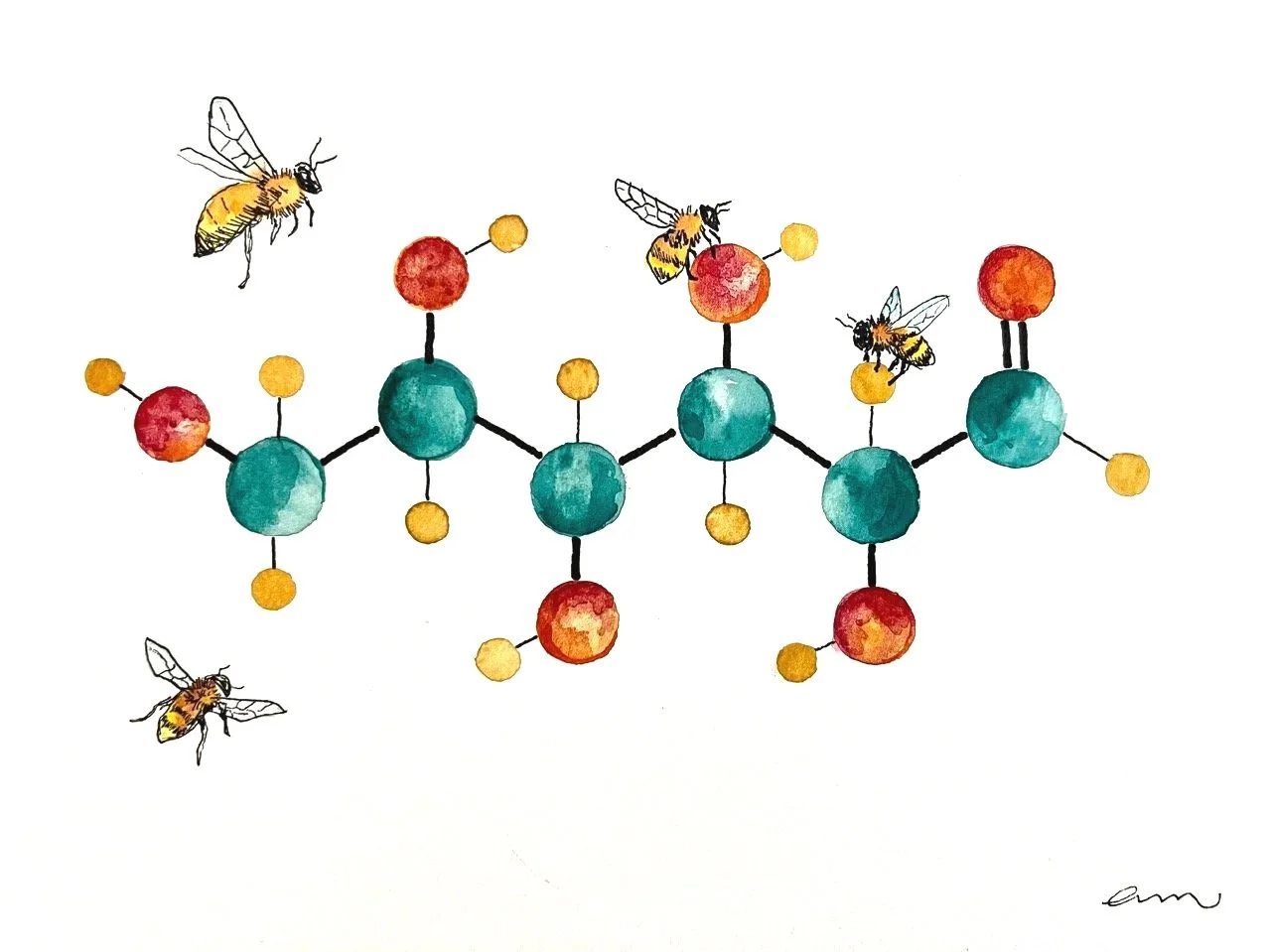 Gucose. A4 Watercolour and Ink on 300gsm archival paper. DKK 650,-