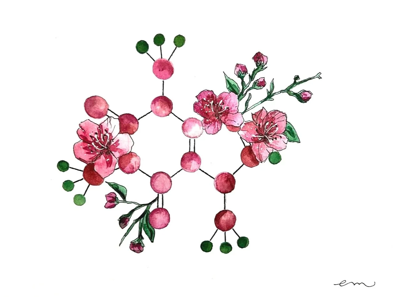 Caffeine. A4 Watercolour and Ink on 300gsm archival paper. DKK 650,-