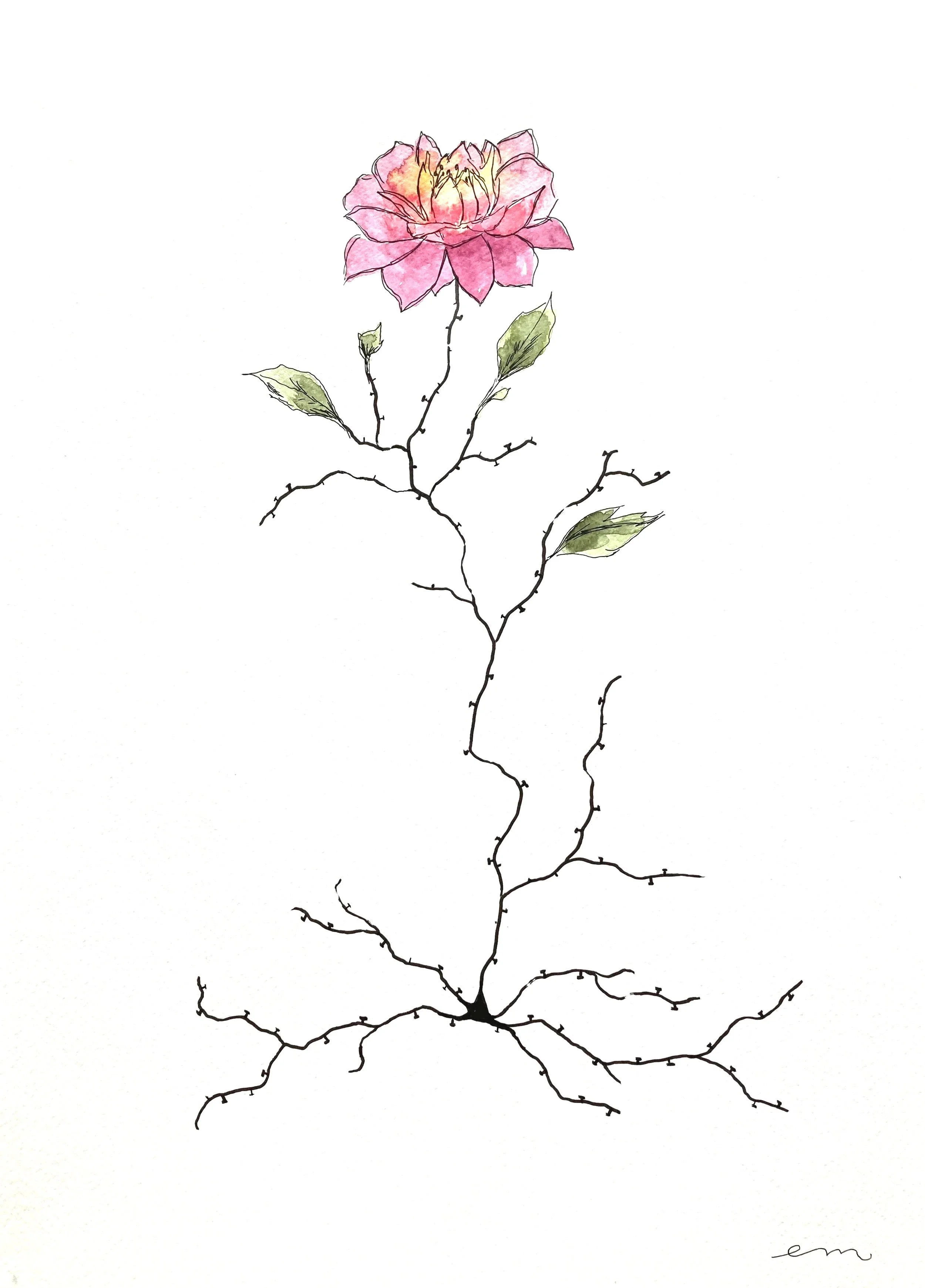 A3 Watercolour and Ink on 300 gsm archival paper. DKK 1200,-