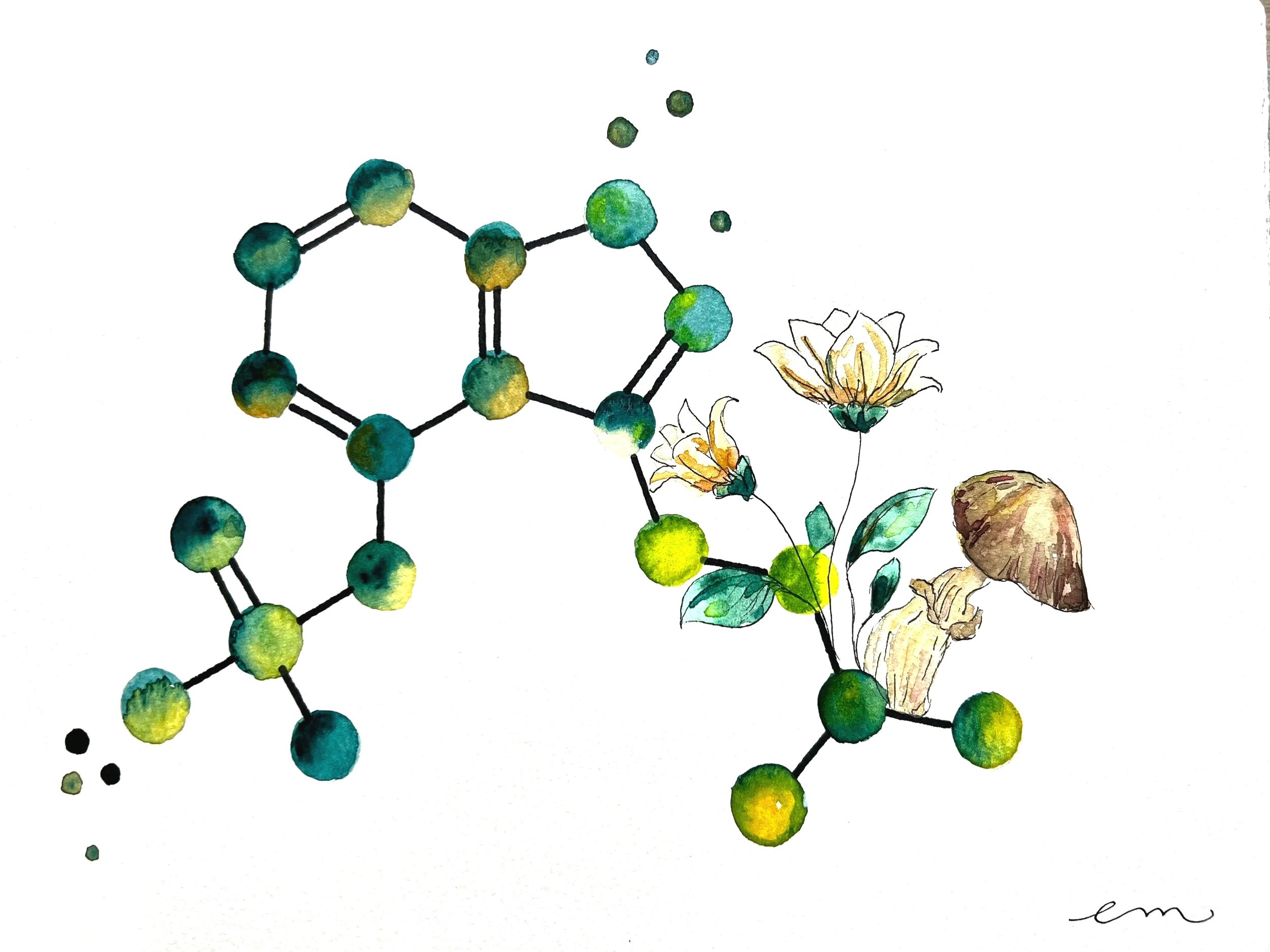 Psilocybin. A4 Watercolour and Ink on 300gsm archival paper. DKK 650,-