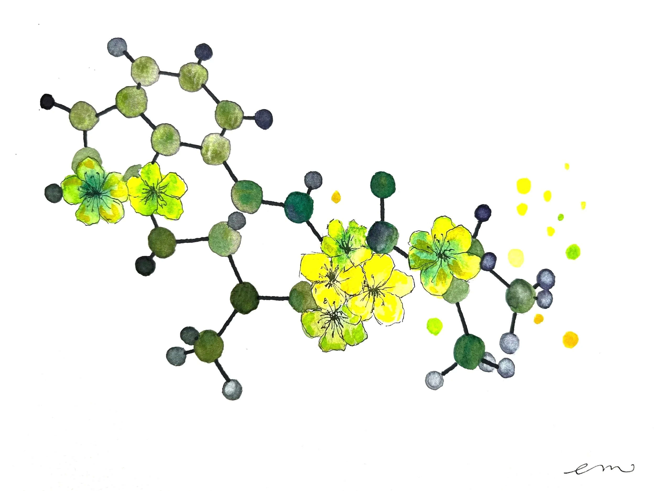 LSD. A4 Watercolour and Ink on 300gsm archival paper. DKK 650,-