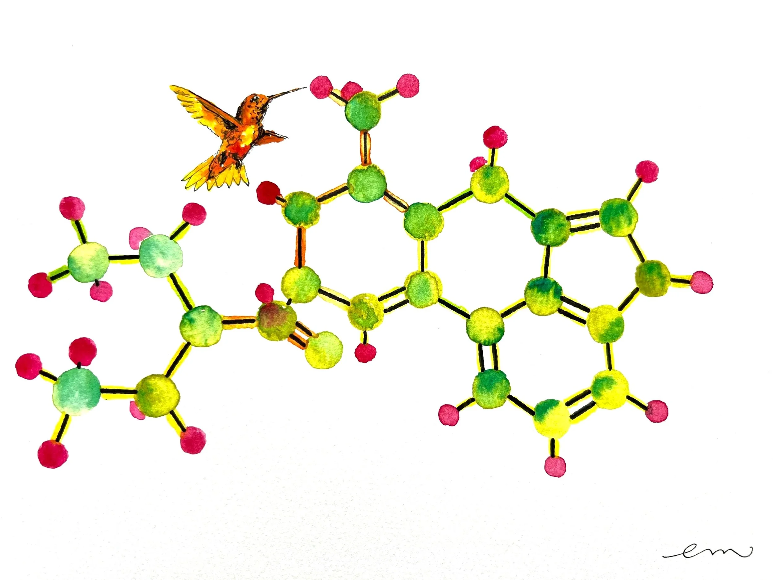 LSD. A4 Watercolour and Ink on 300gsm archival paper. DKK 650,-