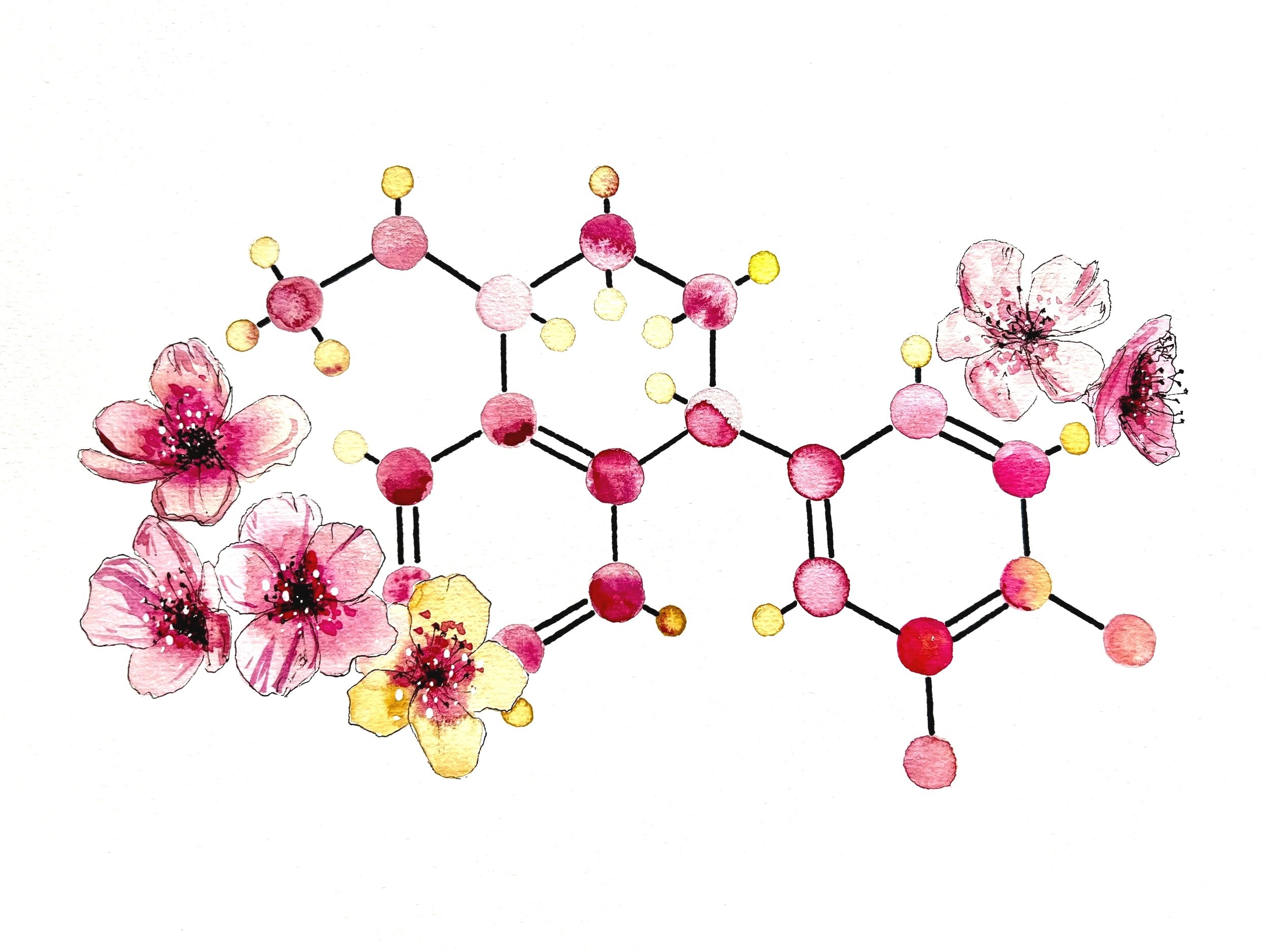 Sertraline. A3 Watercolour and Ink on 300gsm archival paper. DKK 1200,-