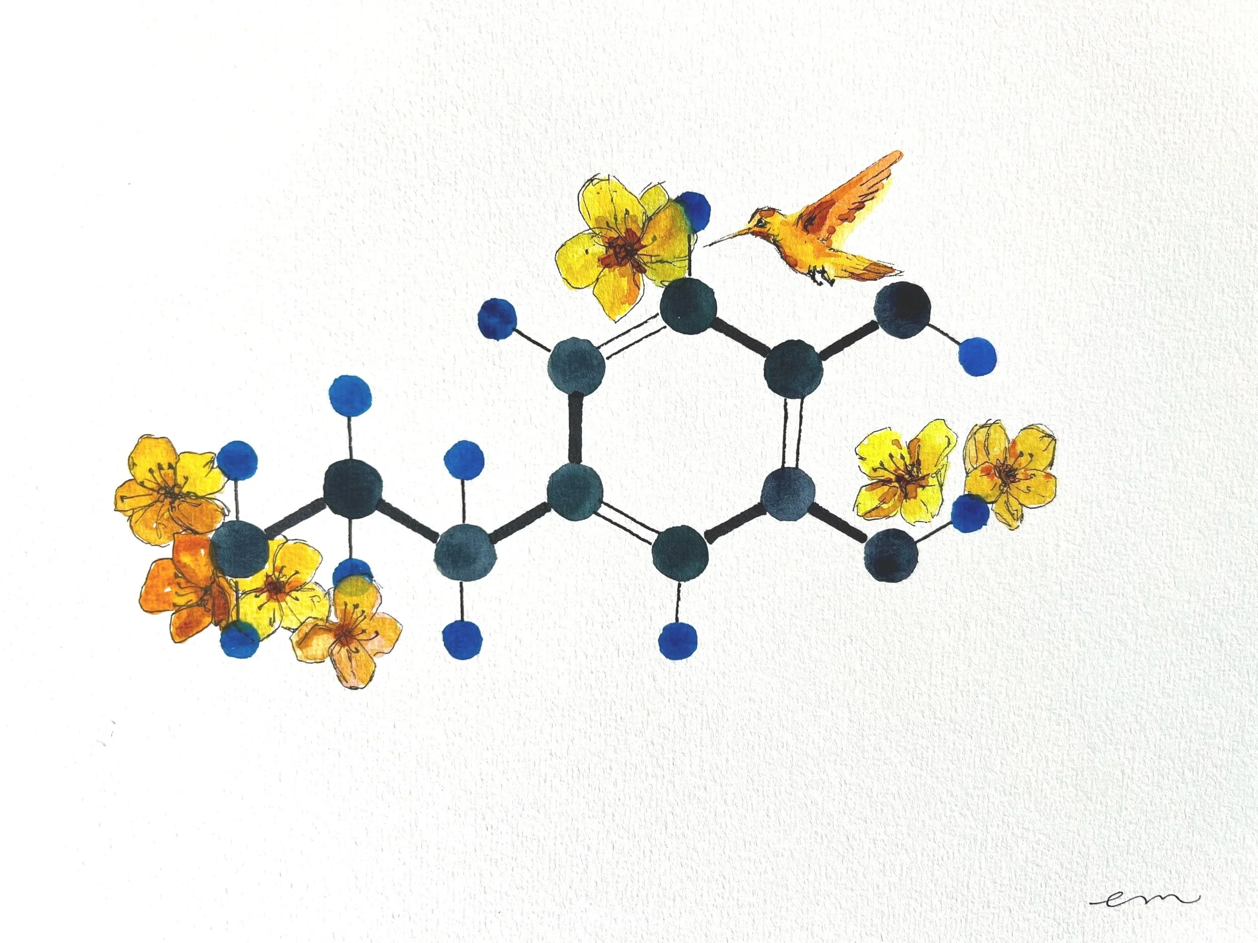 Dopamine. A4 Watercolour and Ink on 300gsm archival paper. DKK 800,- (Framed DKK 1200,-)
