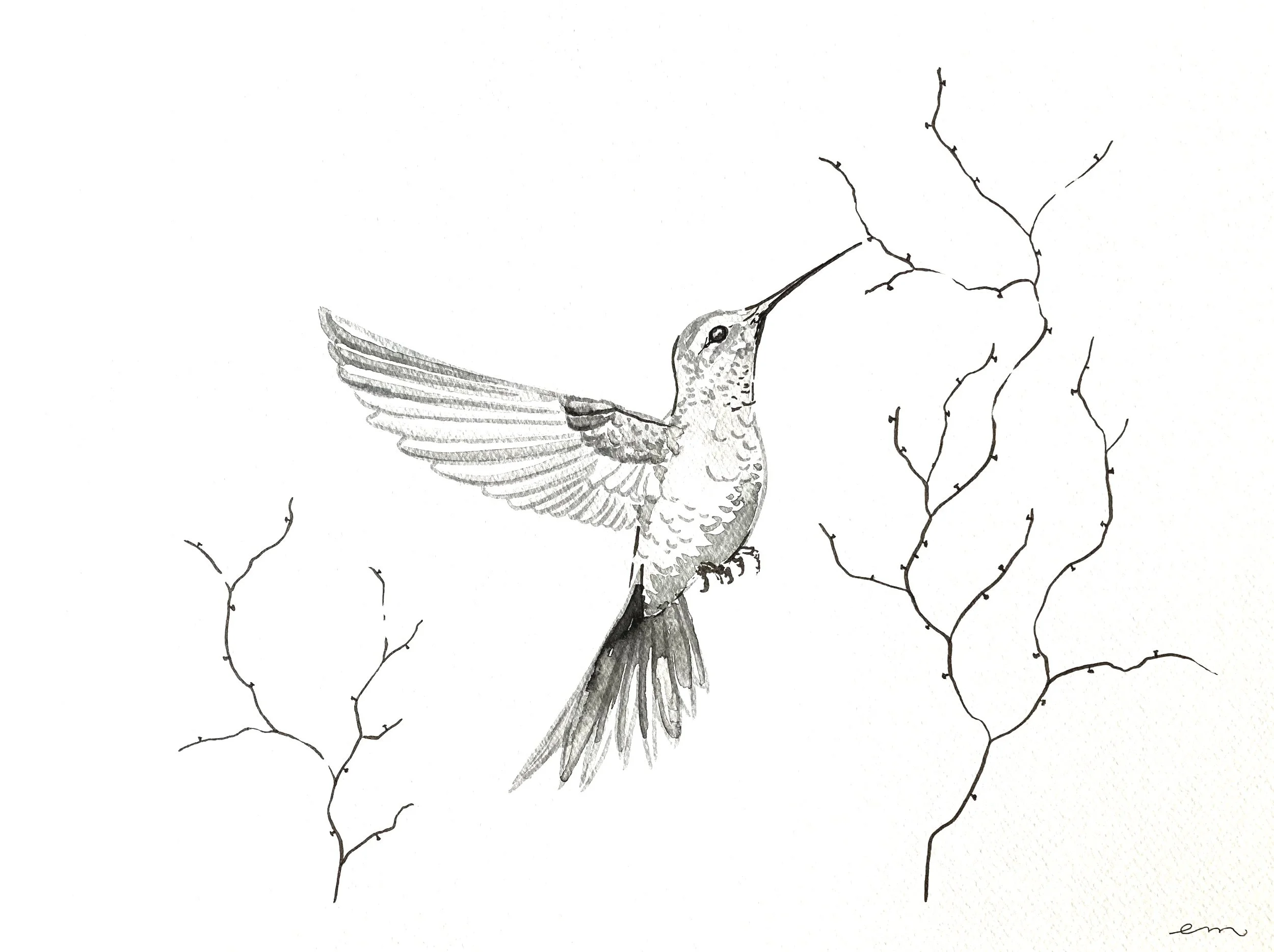 A3 Watercolour and Ink on 300 gsm archival paper. DKK 1400,- (Framed DKK 1900,-)