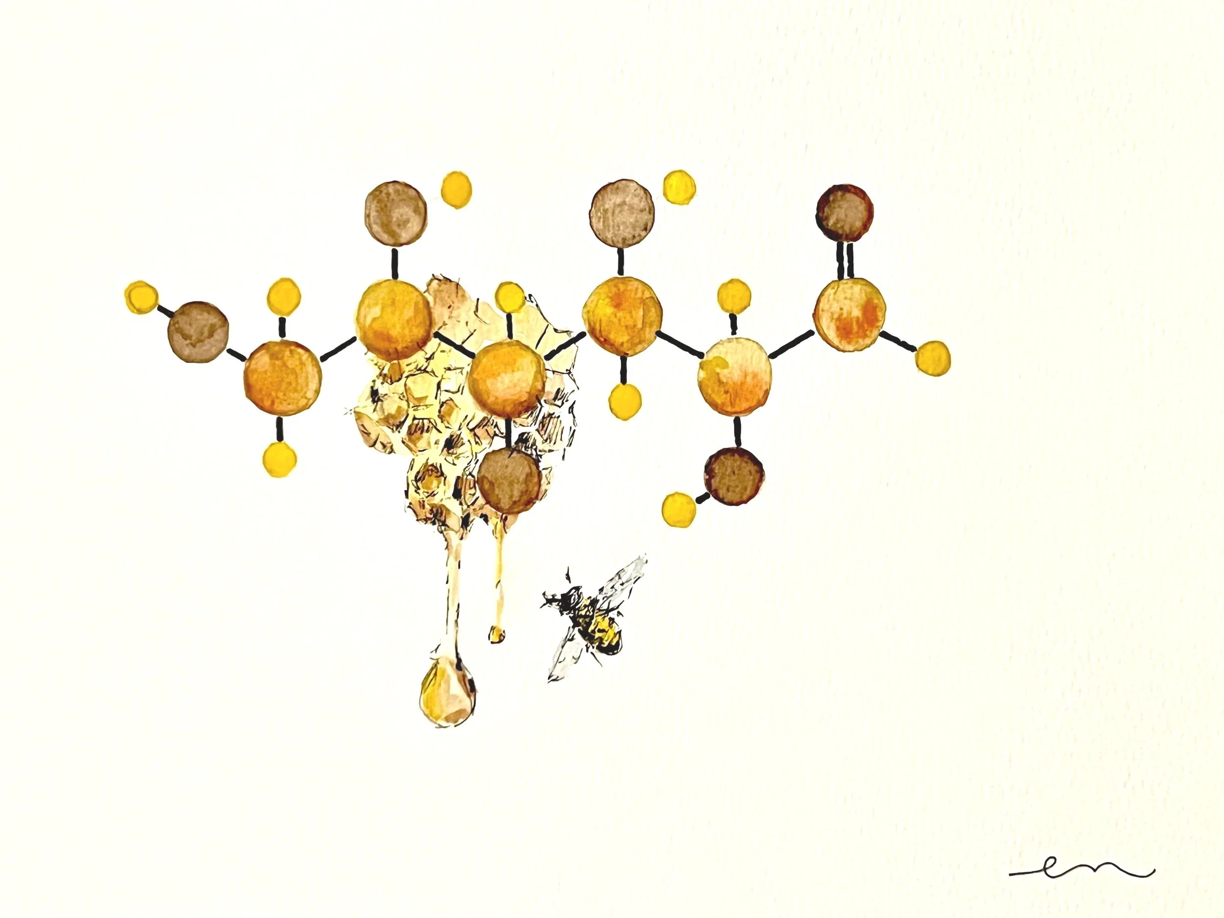 Glucose. A4 Watercolour and Ink on 300gsm archival paper. DKK 800,- (Framed DKK 1200,-)