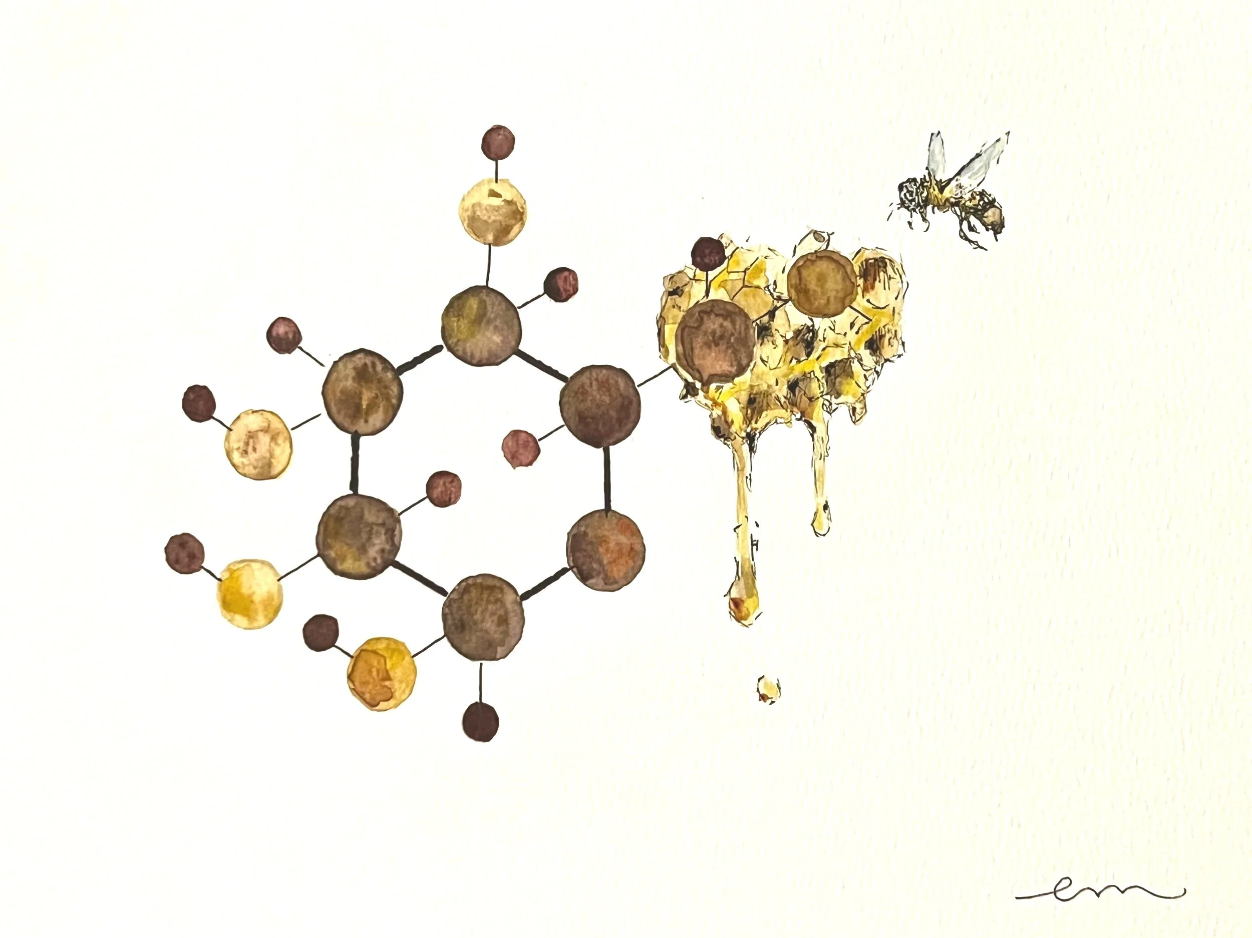 Glucose. A4 Watercolour and Ink on 300gsm archival paper. DKK 800,- (Framed DKK 1200,-)