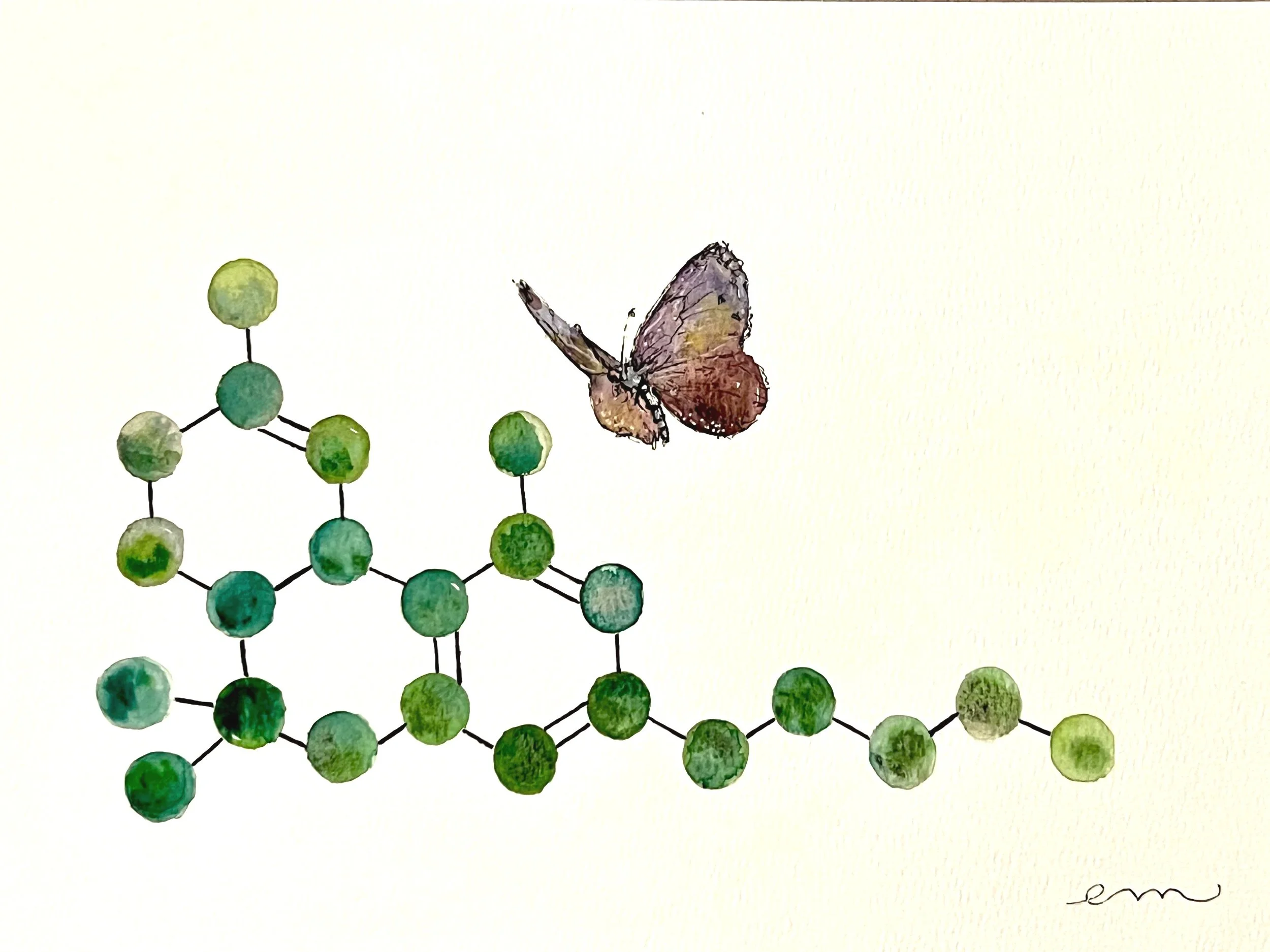 THC. A4 Watercolour and Ink on 300gsm archival paper. DKK 800,- (Framed DKK 1200,-)