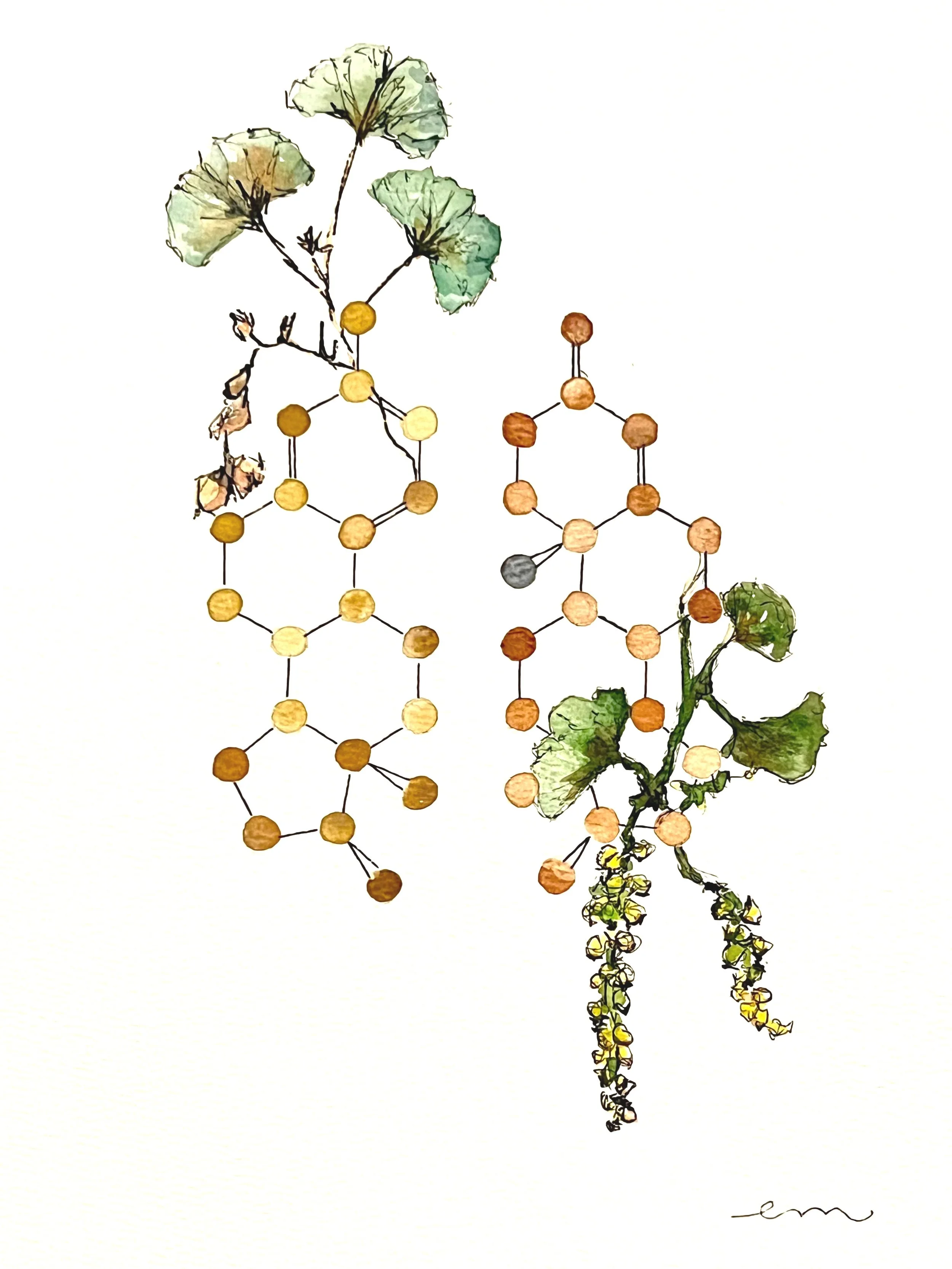 Estrogen and Testosterone. A4 Watercolour and Ink on 300gsm archival paper. DKK 800,- (Framed DKK 1200,-)