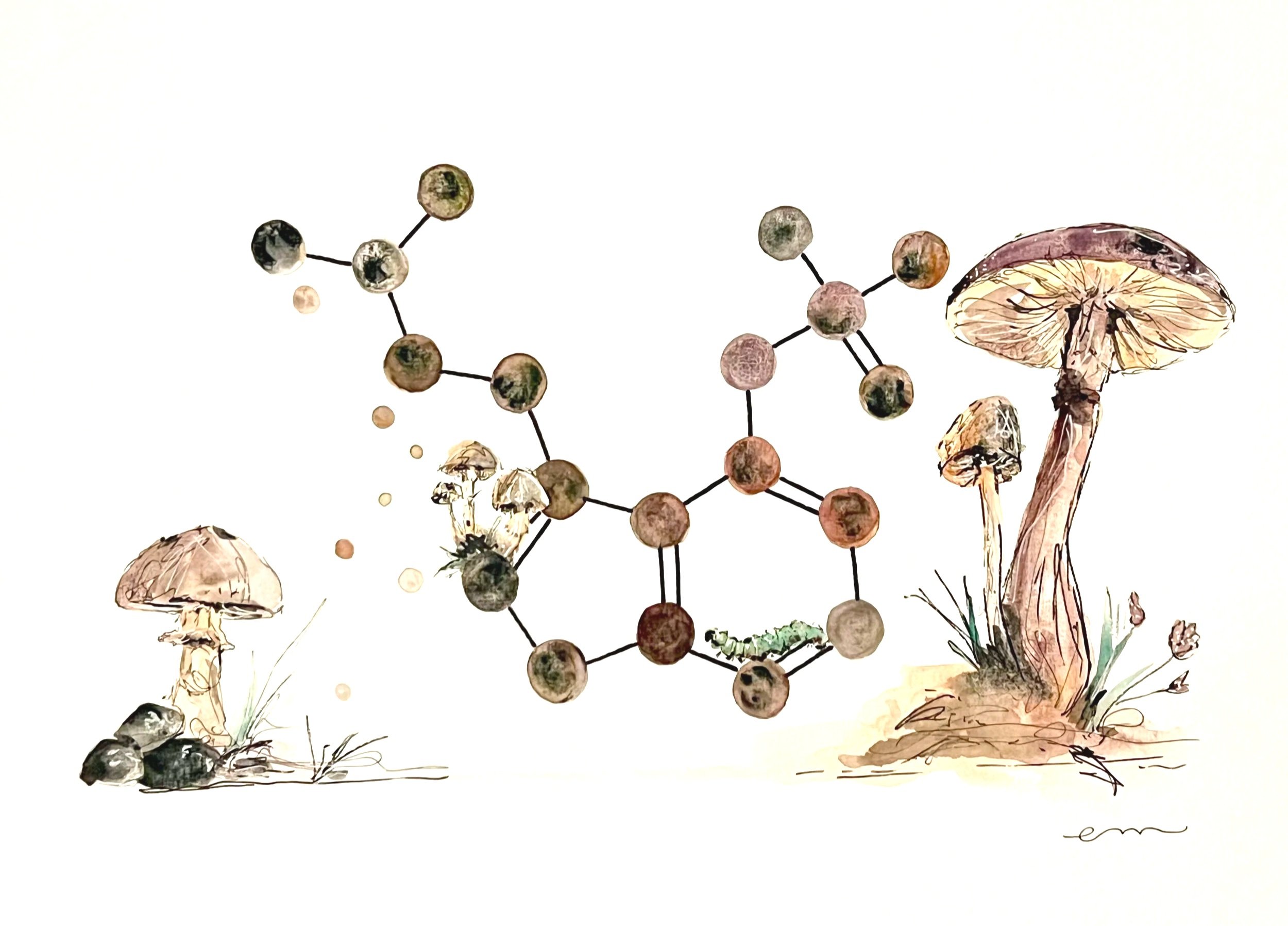 Psilocybin. A3 Watercolour and Ink on 300gsm archival paper. DKK 1400,- (Framed DKK 1900,-)