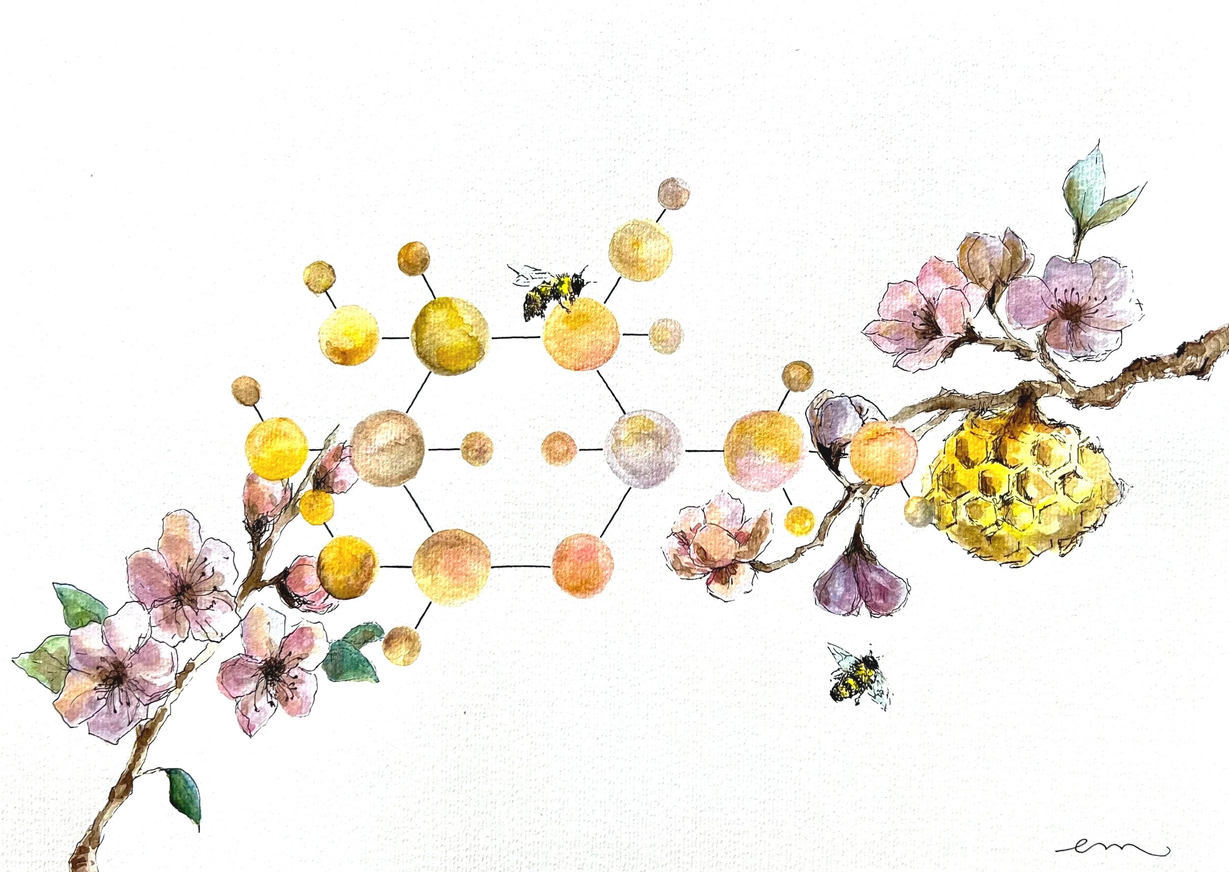 Glucose. A3 Watercolour and Ink on 300gsm archival paper. DKK 1400,- (Framed DKK 1900,-)