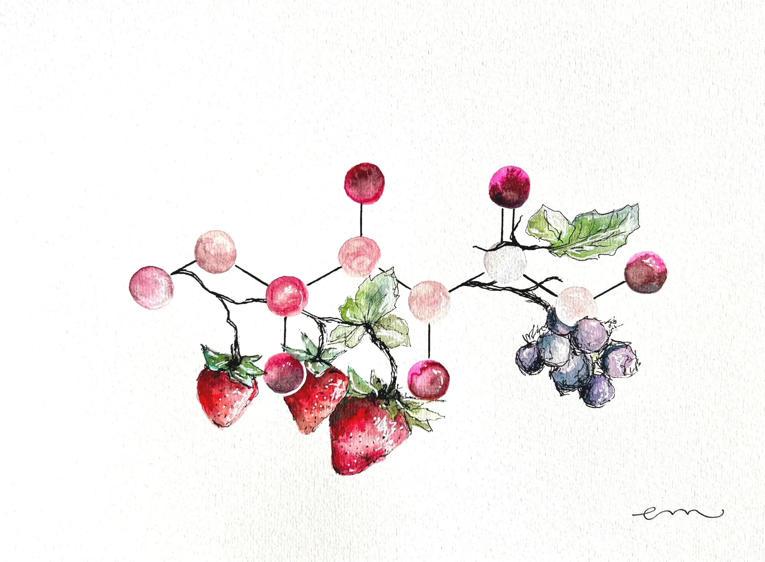 Fructose. A4 Watercolour and Ink on 300gsm archival paper. DKK 800,- (Framed DKK 1200,-)