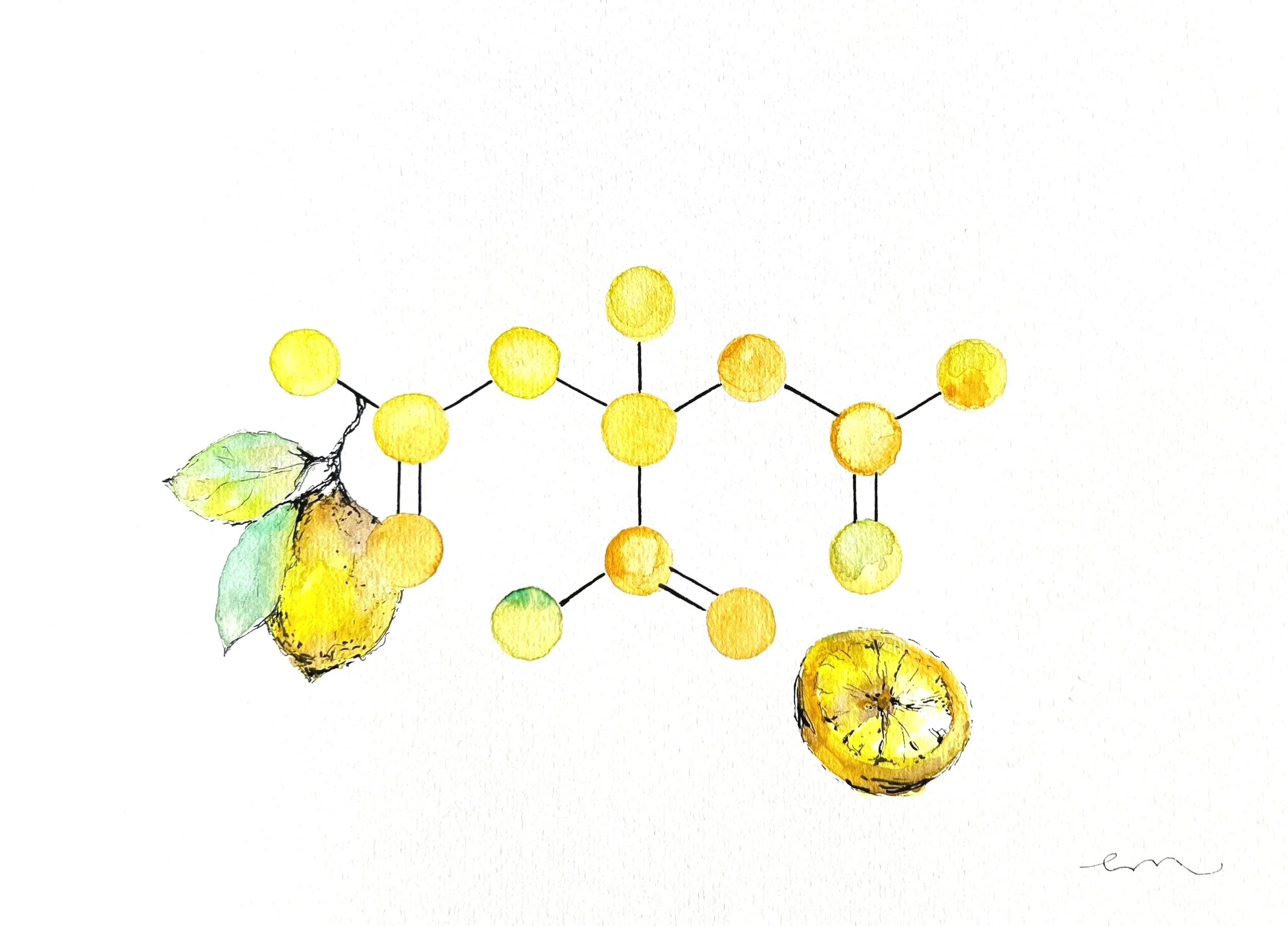 Citric acid. A4 Watercolour and Ink on 300gsm archival paper. DKK 800,- (Framed DKK 1200,-)