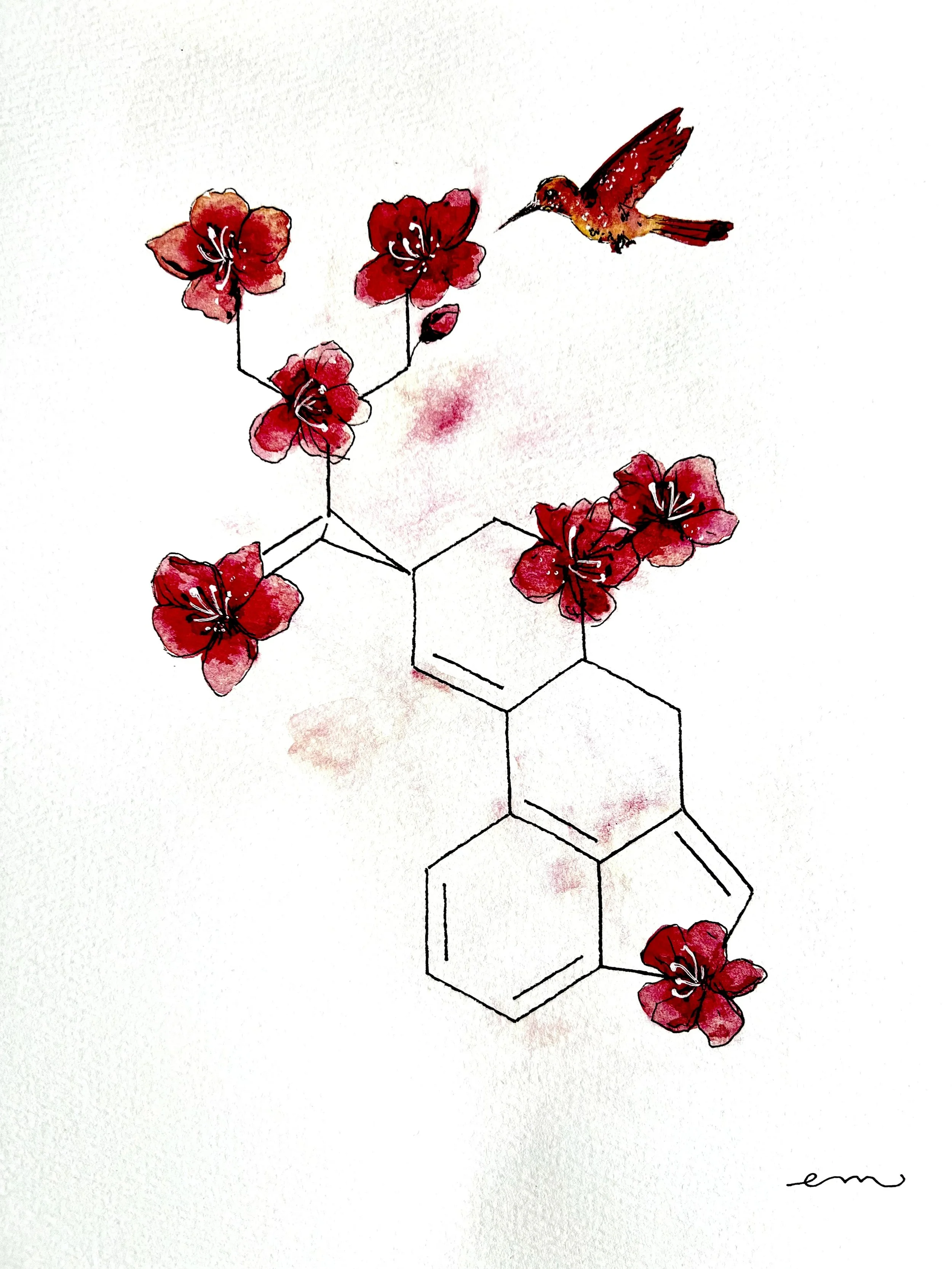 LSD. A4 Watercolour and Ink on 300gsm archival paper. DKK 650,-
