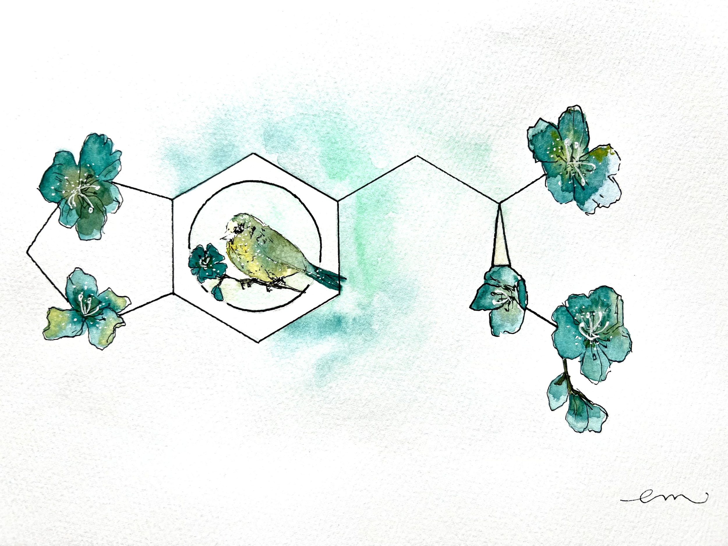 MDMA. A4 Watercolour and Ink on 300gsm archival paper. DKK 650,-