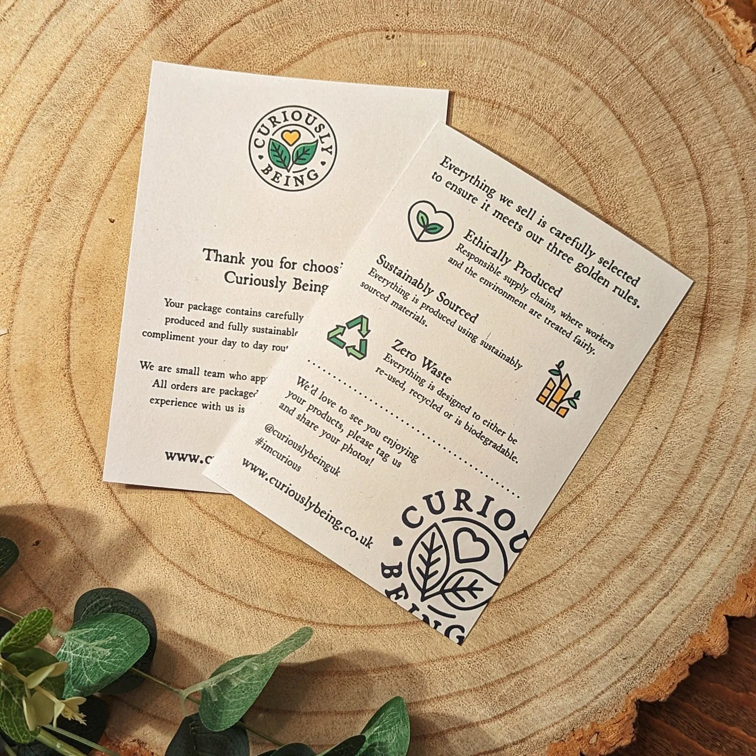 344323120_6085748284876008_7975825827126497316_n (1).jpg