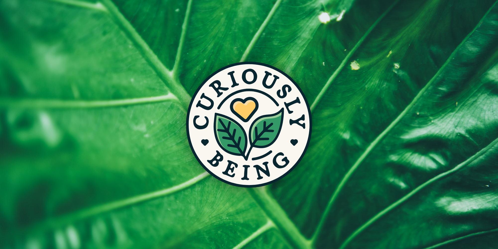 Custom Size – 3.png