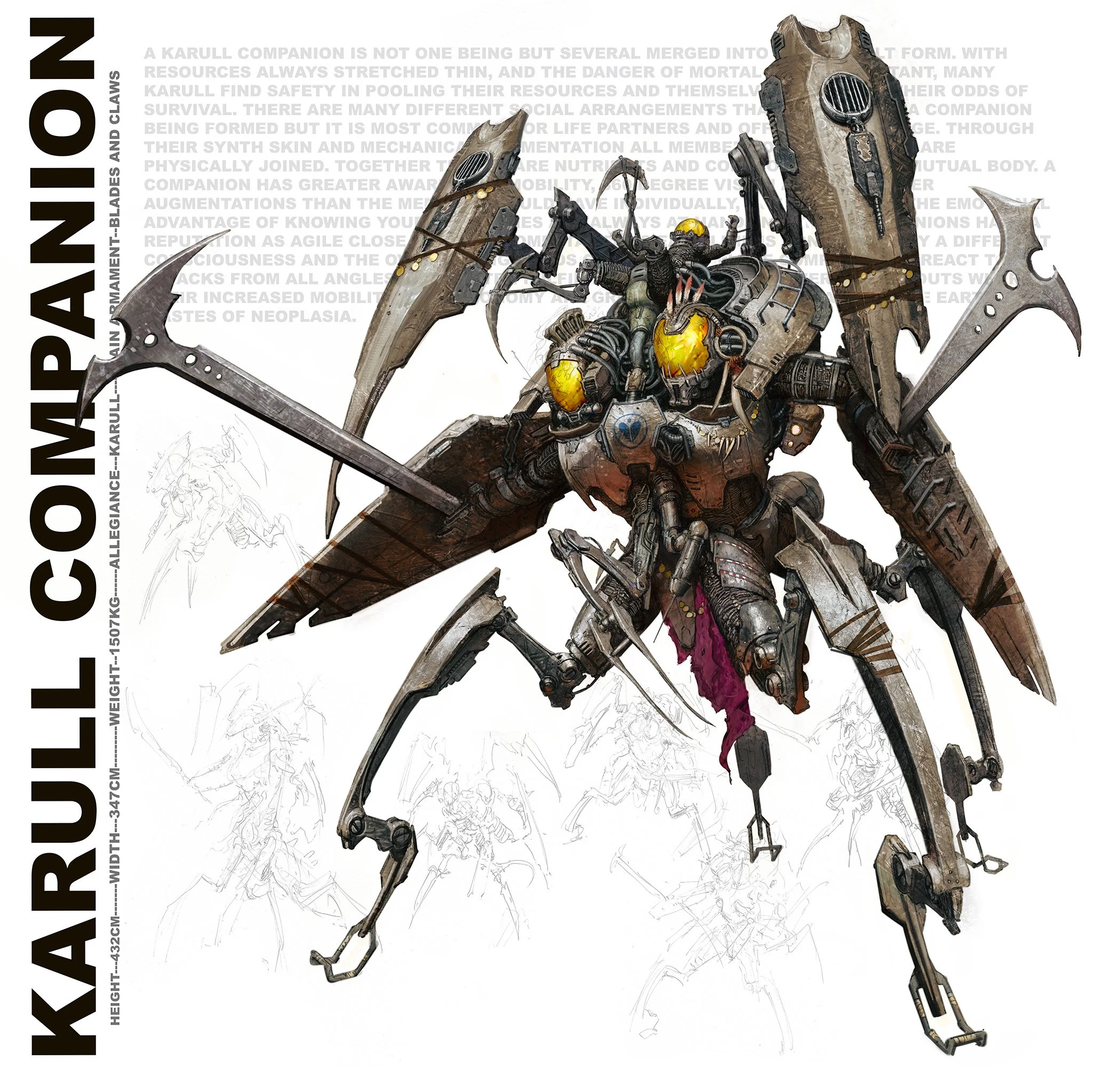 Companion low res.jpg