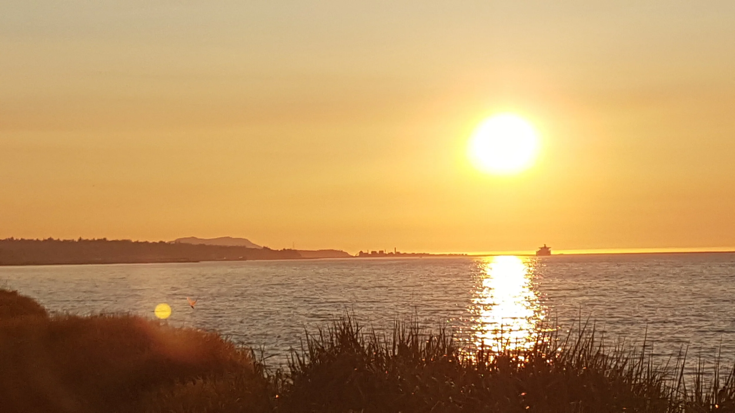 Day 1 - Seattle to Port Angeles (141.1km)