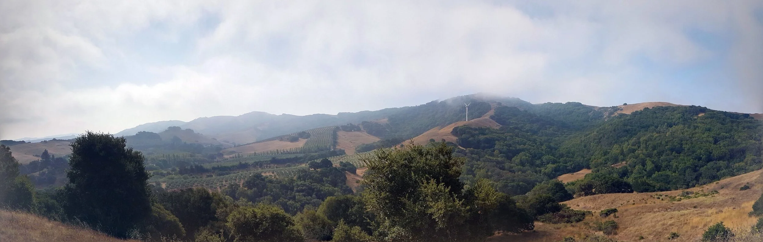 Day 12 - Santa Rosa to Novato (52.9km)