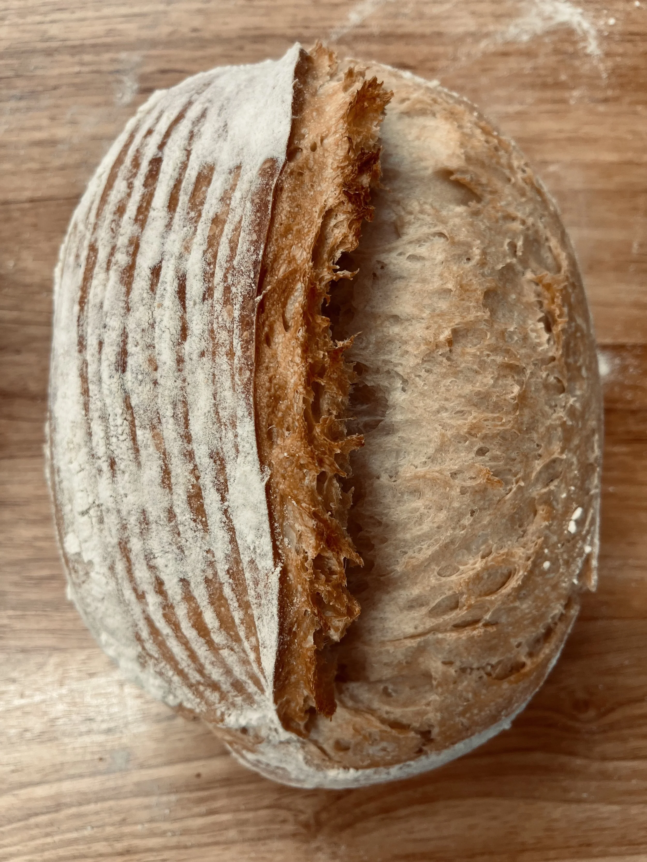 Medium White Sourdough