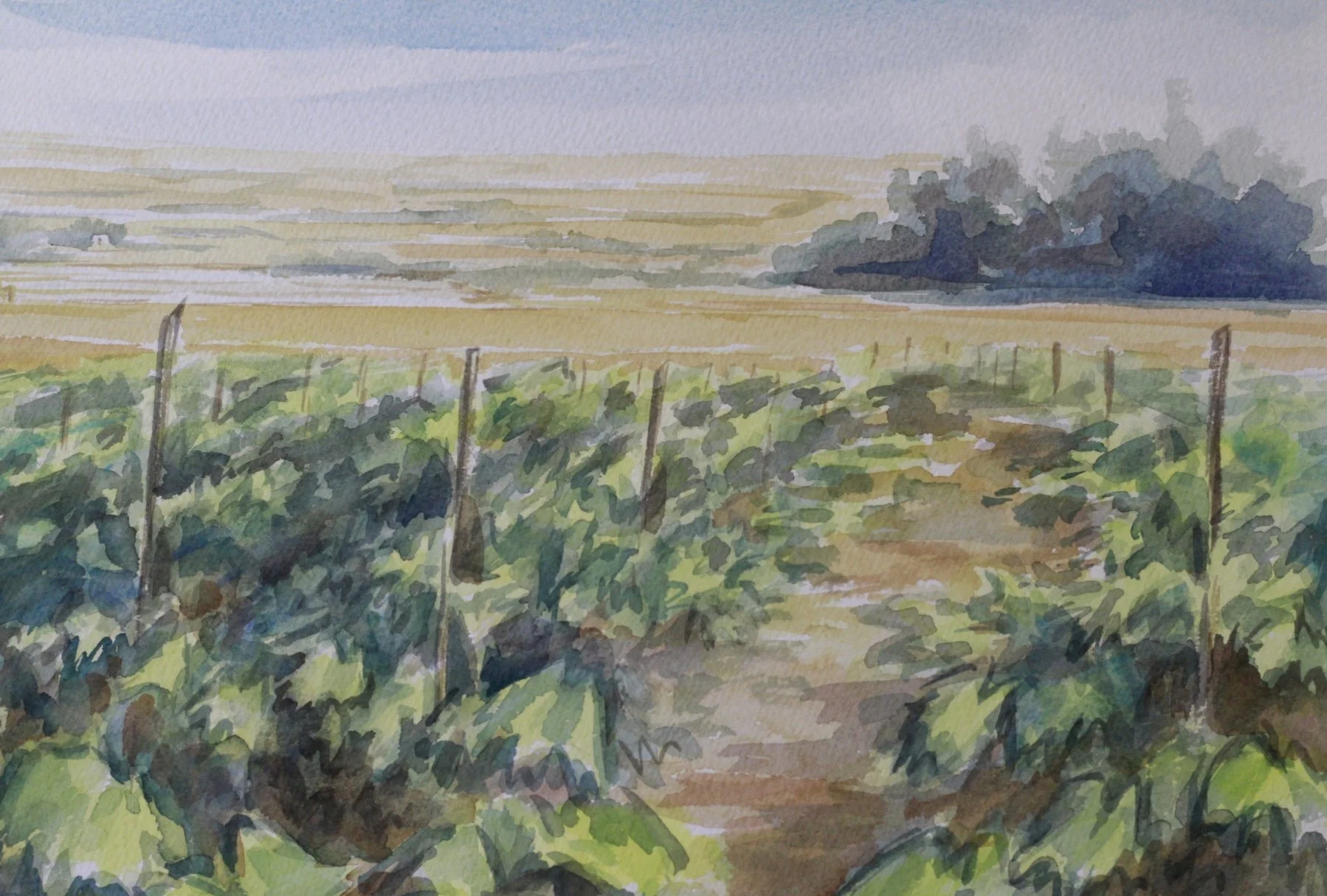 FullSizeRender 4 copy.JPG