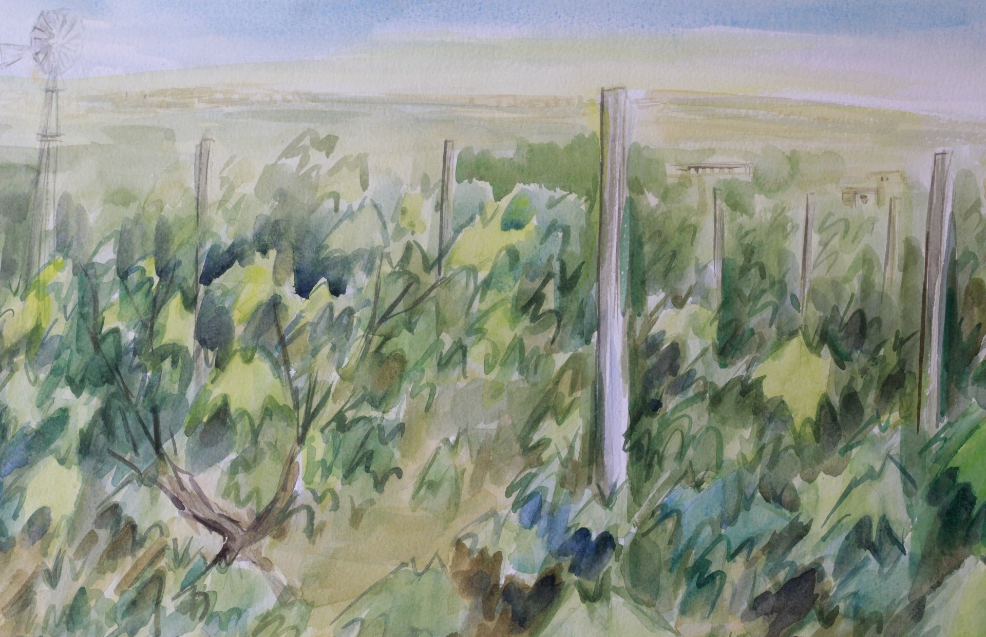 FullSizeRender copy.JPG