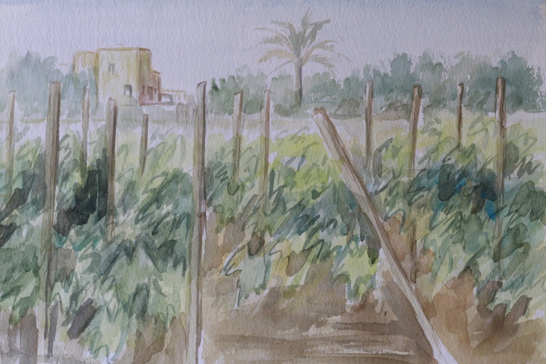 FullSizeRender 5.JPG