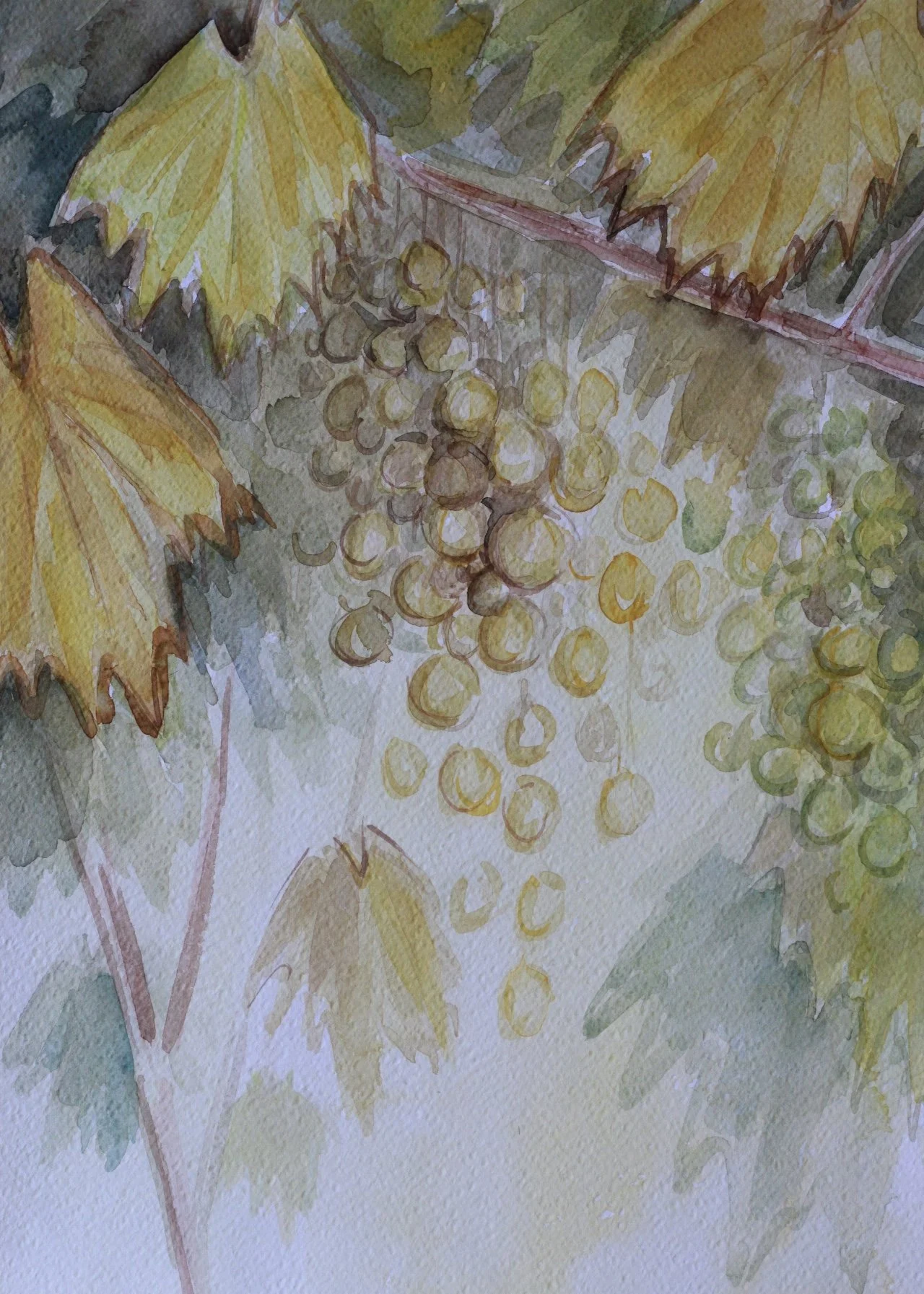 FullSizeRender 2.JPG