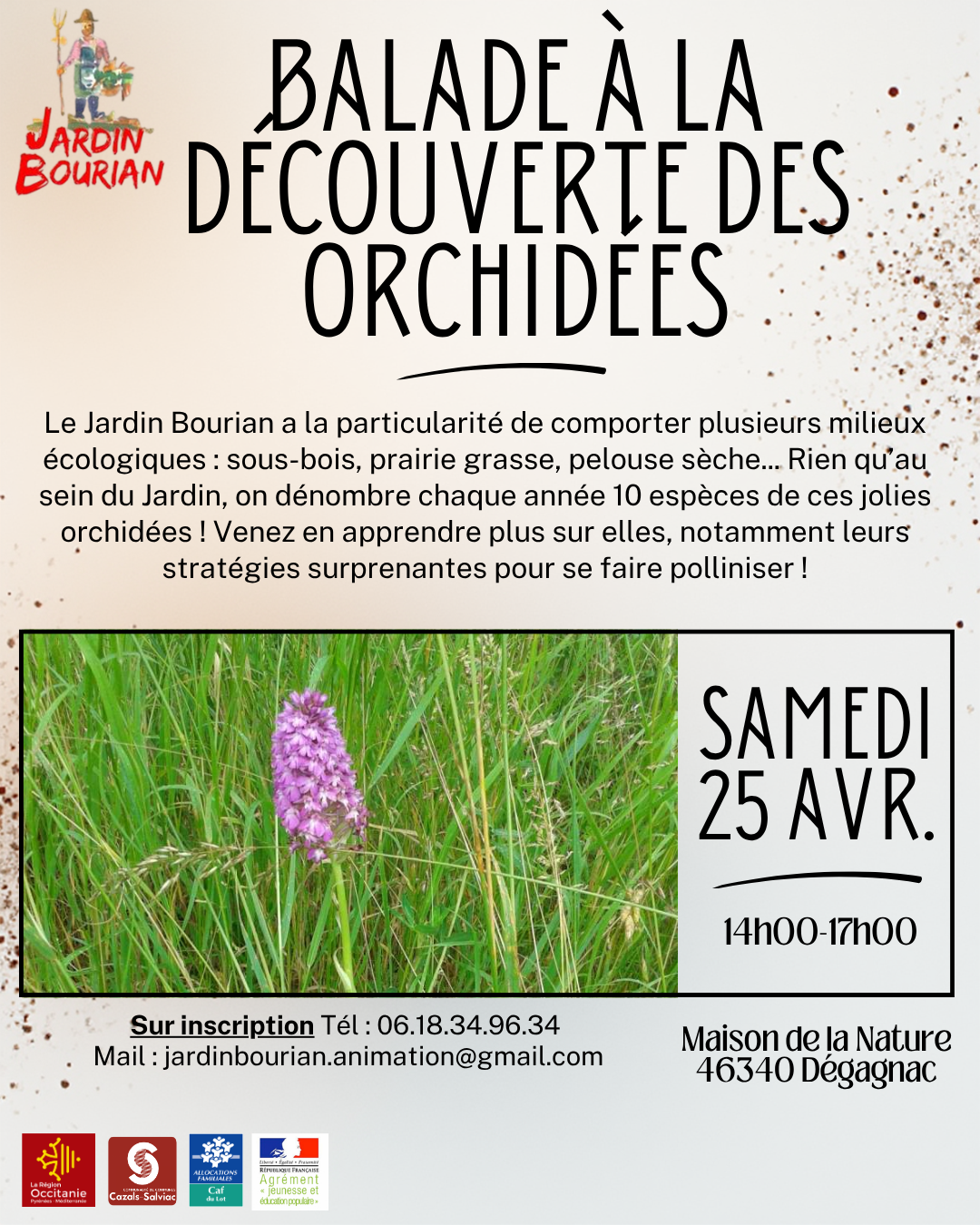 Balade à la découverte des orchidées
