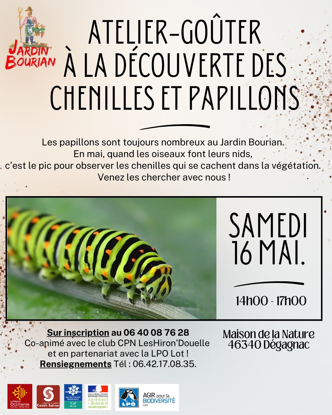 Atelier-goûter : Chenilles et papillons