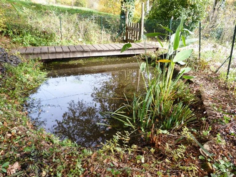 La mare du Jardin Bourian