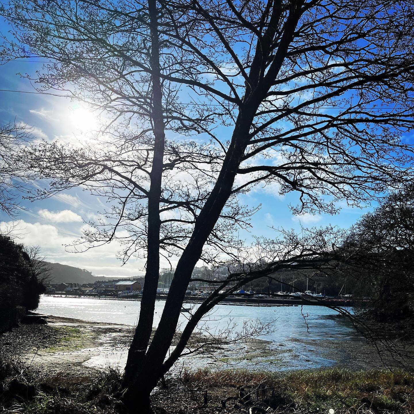 Batson creek #hightide #creeks #walking #blueskies