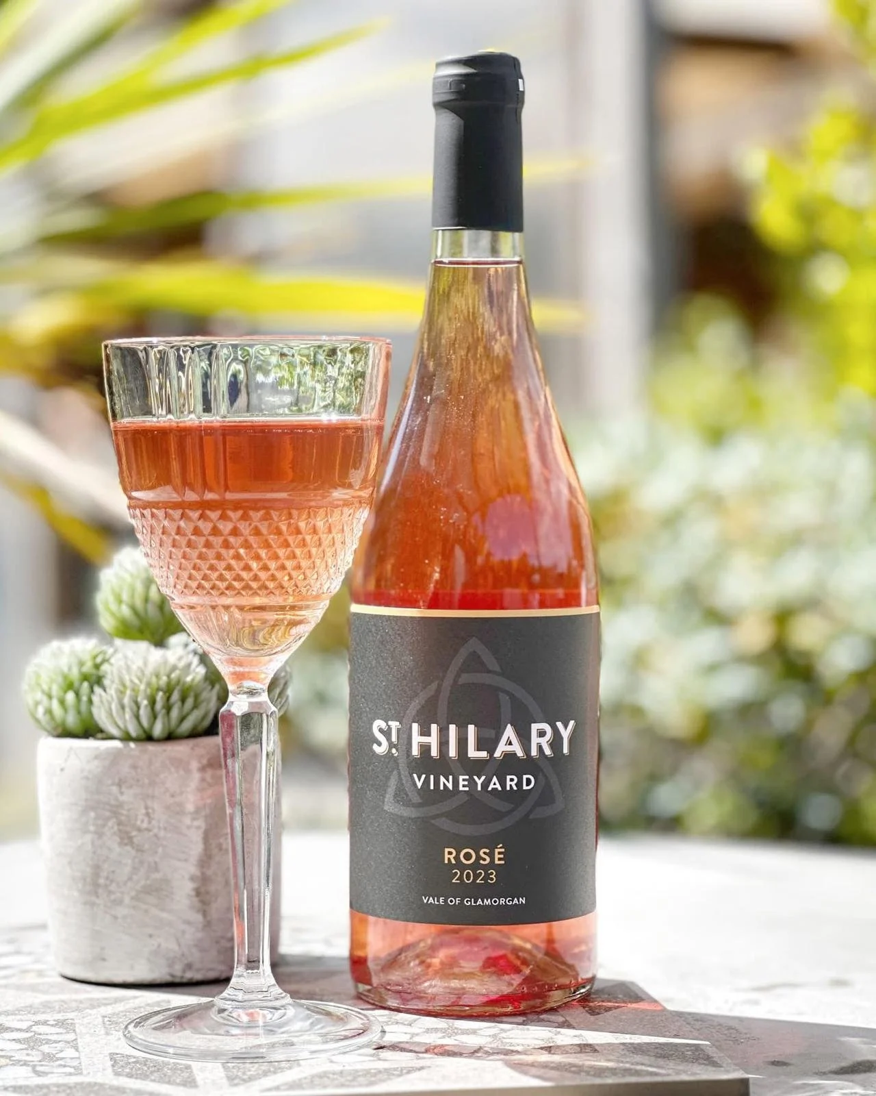 WhatsApp Image 2025-05-23 at 07.49.28_9b362b41.jpg