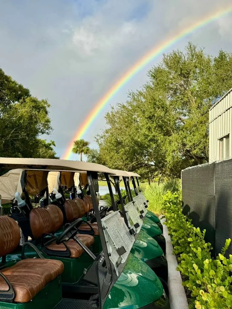 WhatsApp Image 2026-01-08 at 15.31.33 (1).jpeg