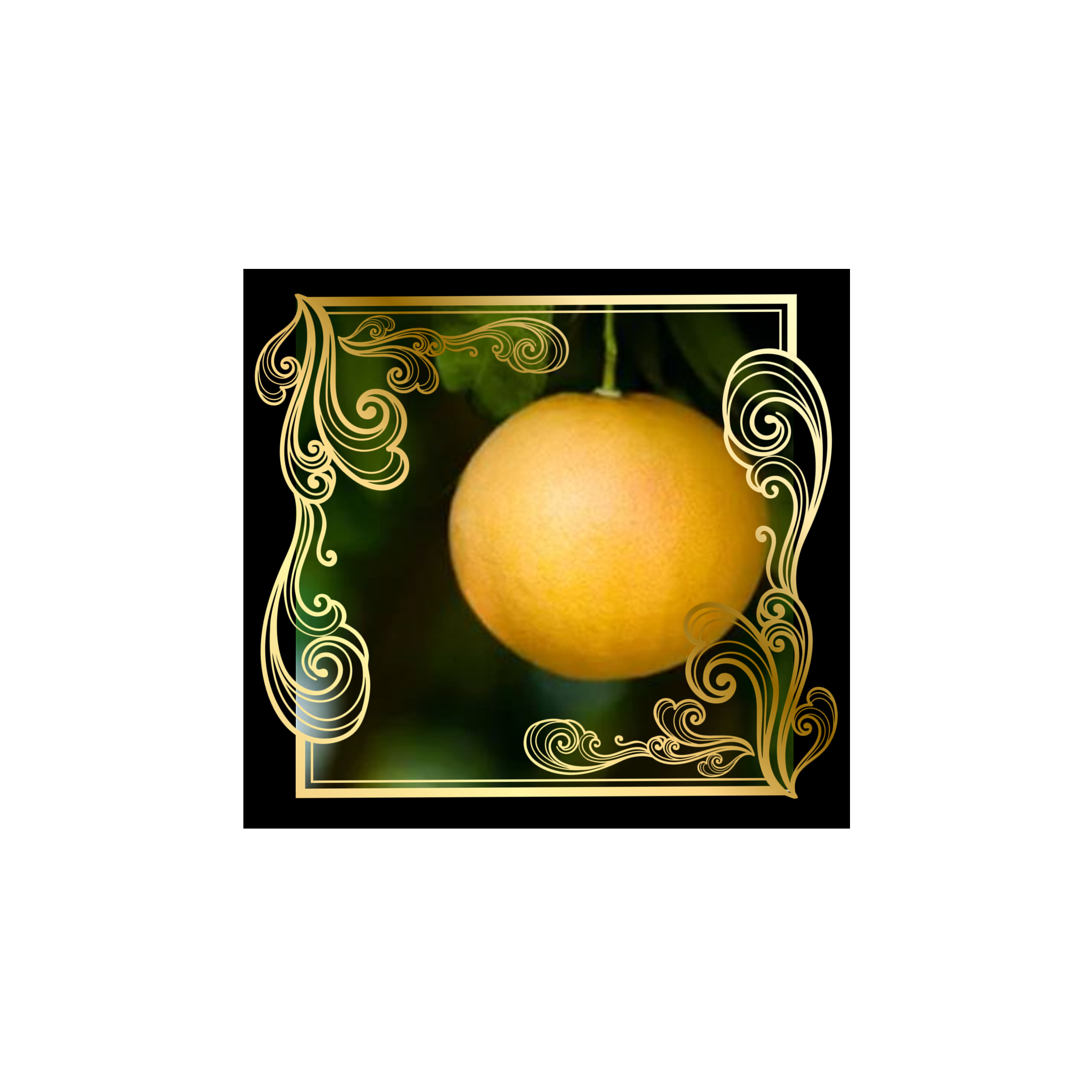 Pink Grapefruit Essential Oil 10ml