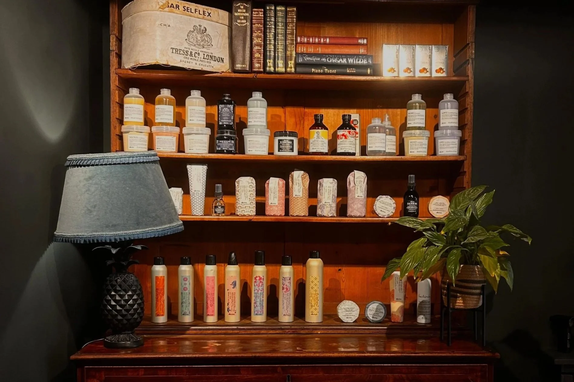 A wooden shelf with various bottles, jars, and boxes of different products, several books on top, a lampshade on the left, and a potted plant on the right.