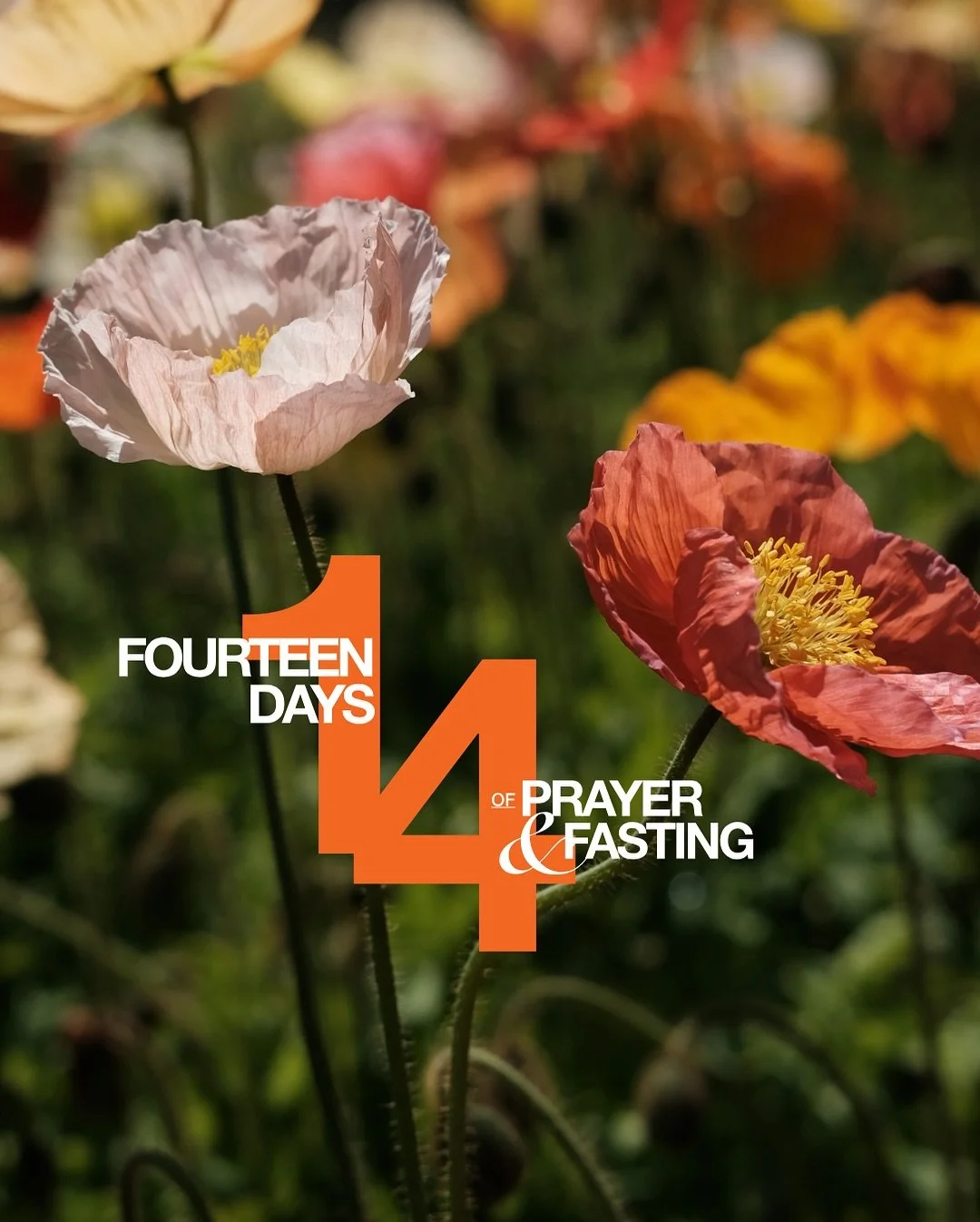 We are believing for a powerful 14 days in your life and across our youth ministry as we intentionally make room for God 🕊️ Swipe for some keys around prayer &amp; fasting + check out our resources!

🍊 YouVersion App Daily Devotion with Ps Jo
📖 Pr