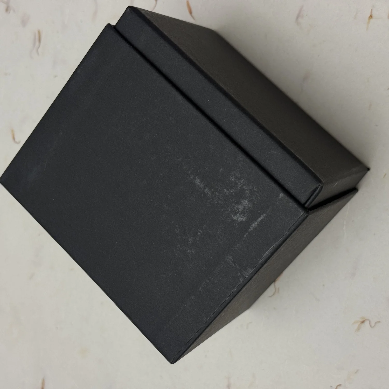 Richard Mille Black Watch Travel Case