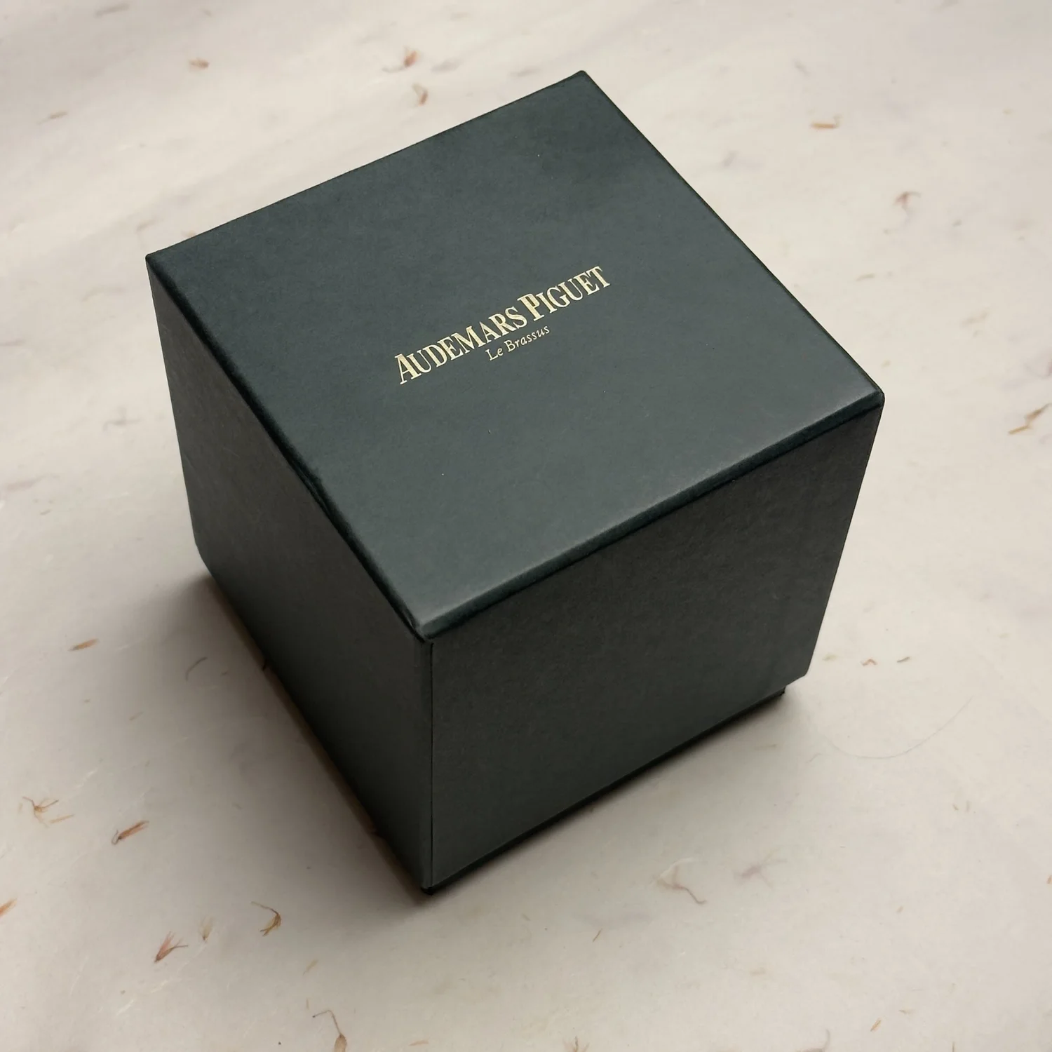 Audemars Piguet Brown Leather Watch Travel Case